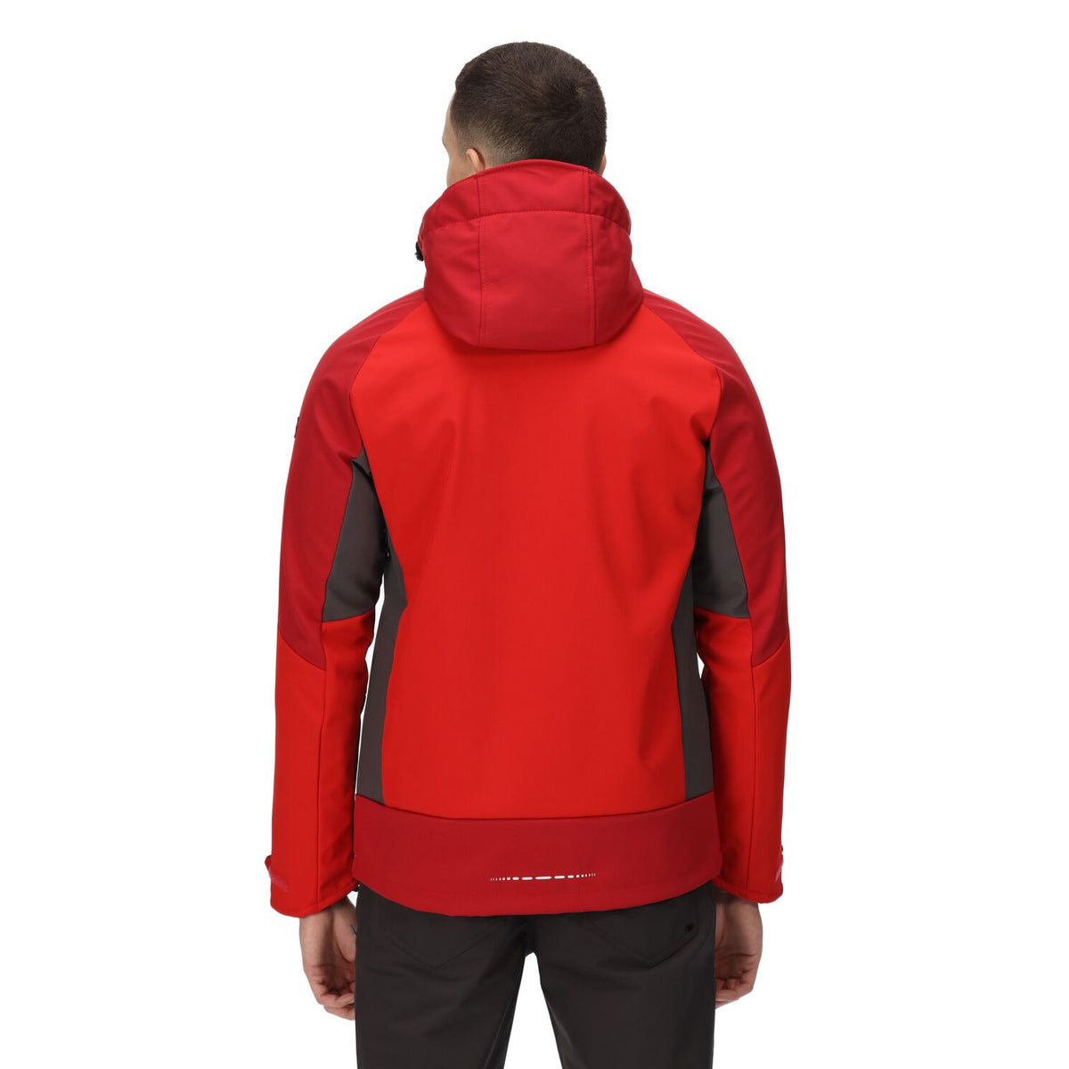 Regatta Hewitts VII Softshelljacke Herren mit Kapuze
