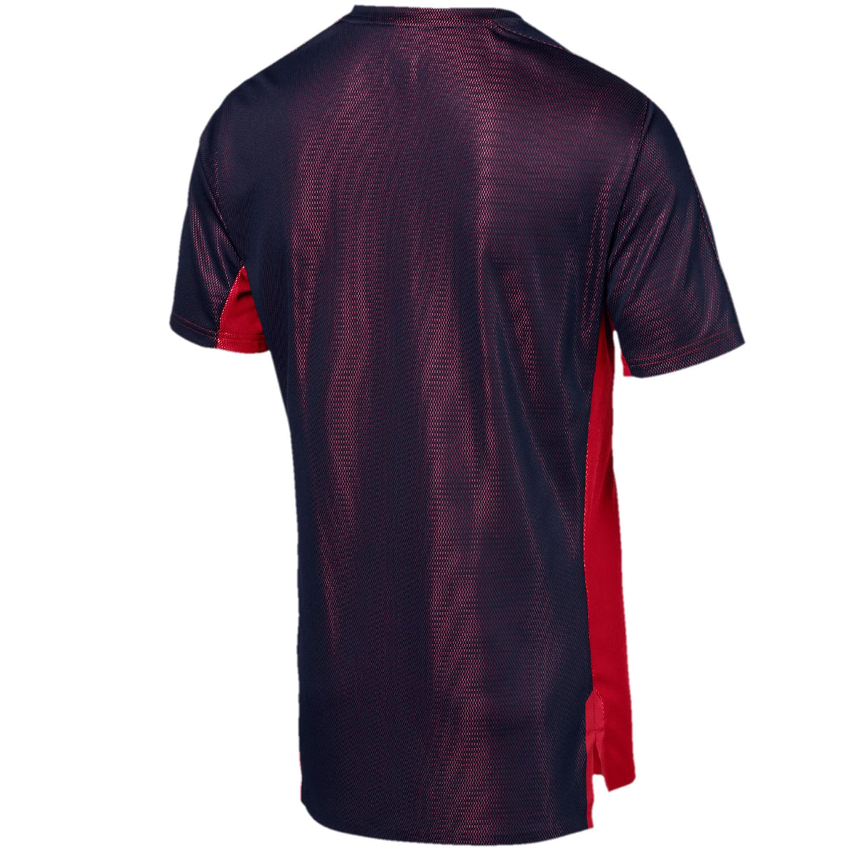 Puma AFC Arsenal London Aufwärm Trainings Stadium Trikot with Sponsor