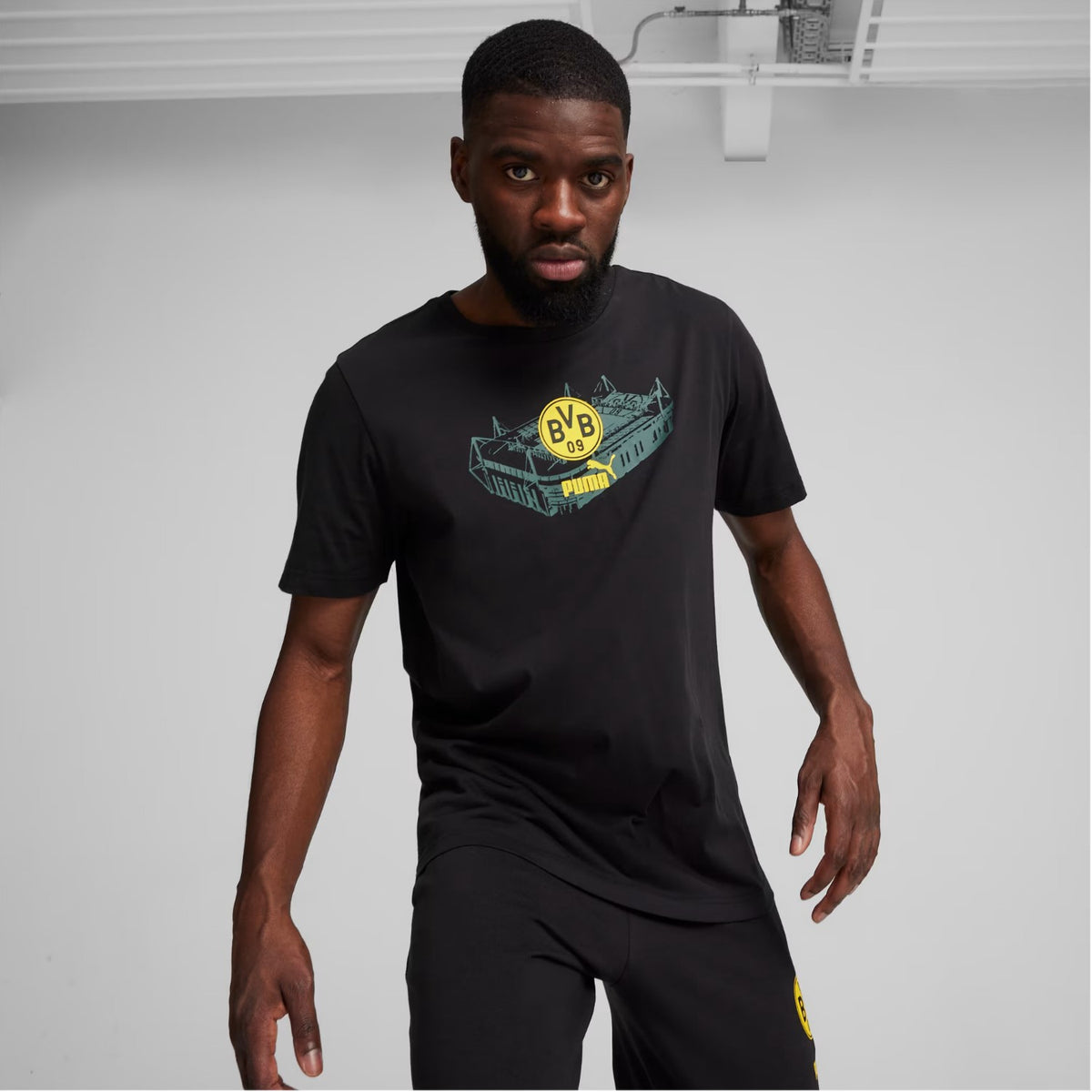 Puma BVB Borussia Dortmund Ftblicons Tee Herren