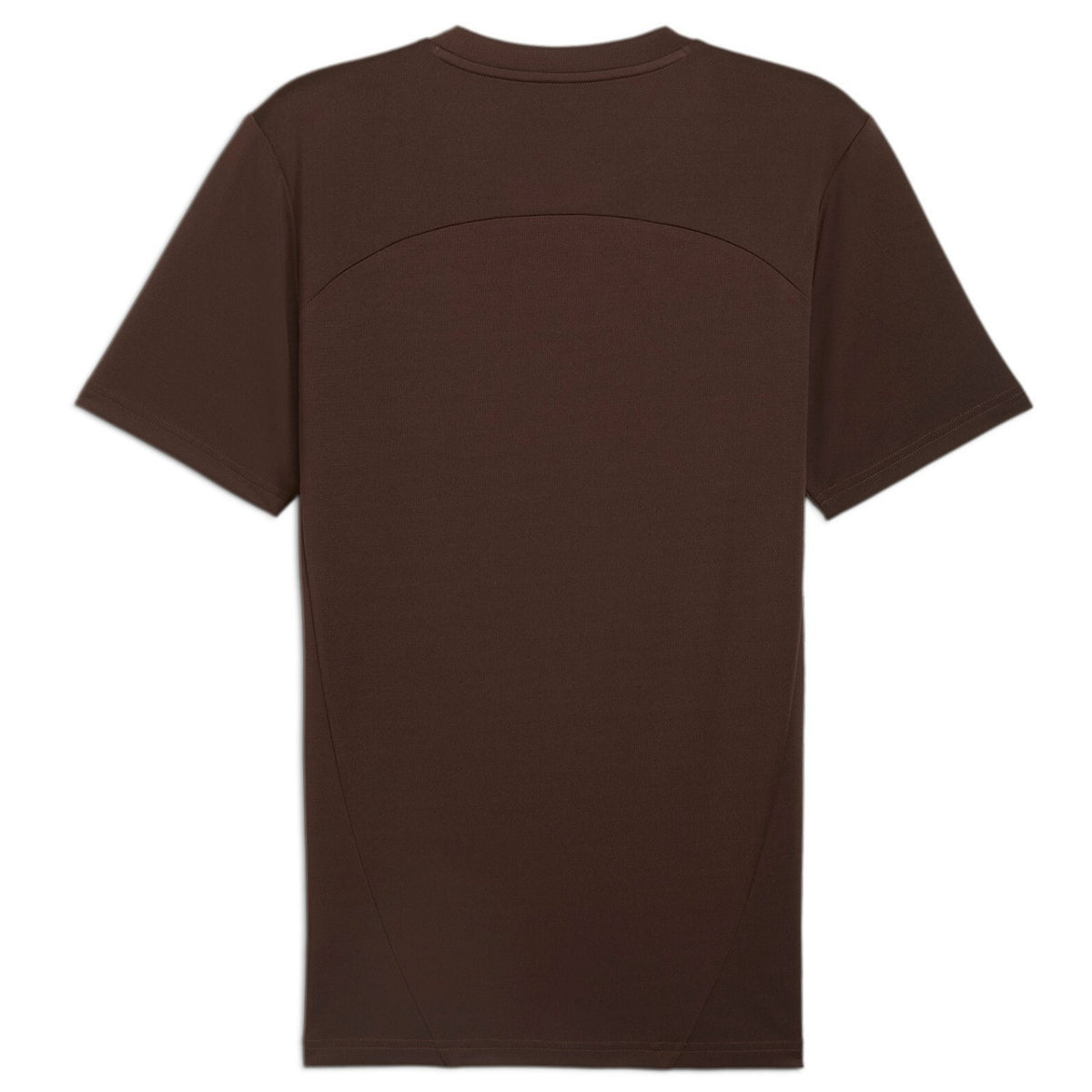 Puma FC St. Pauli Trainingstrikot für Herren 24/25