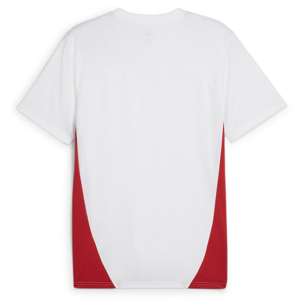 Puma RB Leipzig Trainingstrikot für Herren 24/25
