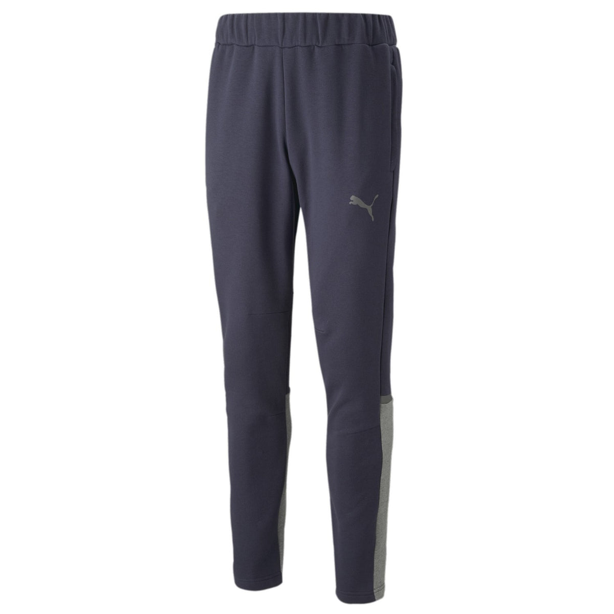 Puma teamCup Jogginghose Herren 657988