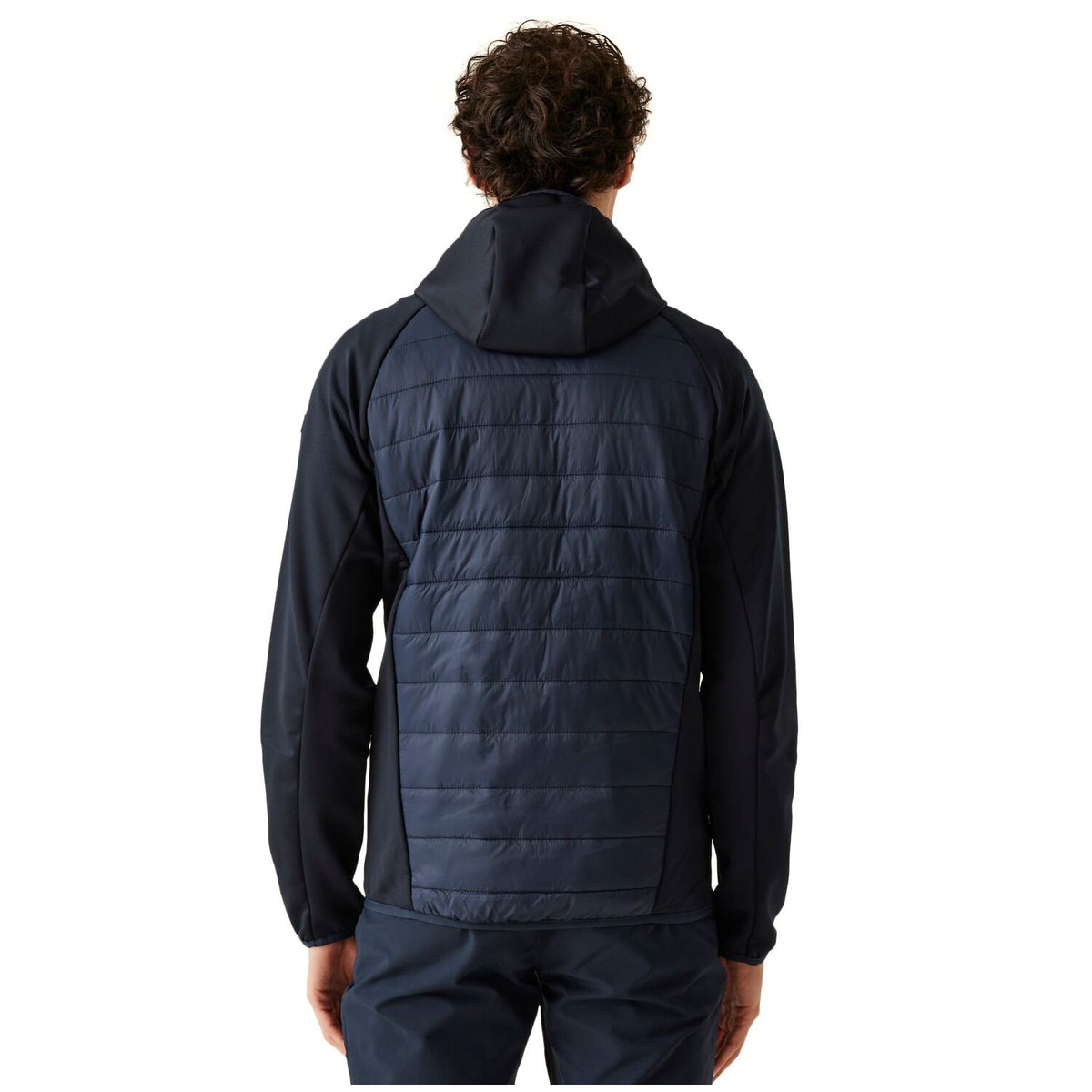 Regatta Andreson VIII Hybrid Softshelljacke Herren