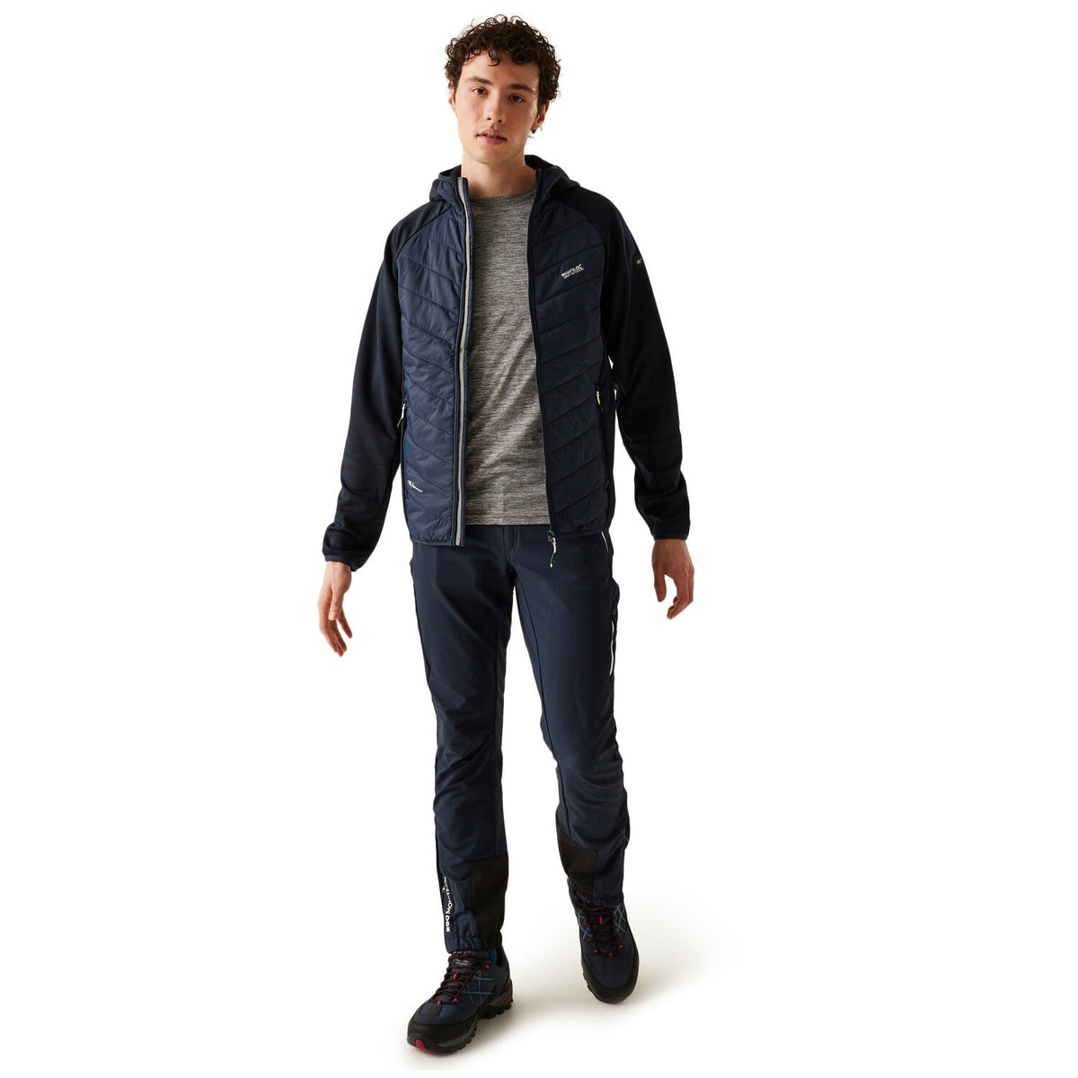 Regatta Andreson VIII Hybrid Softshelljacke Herren