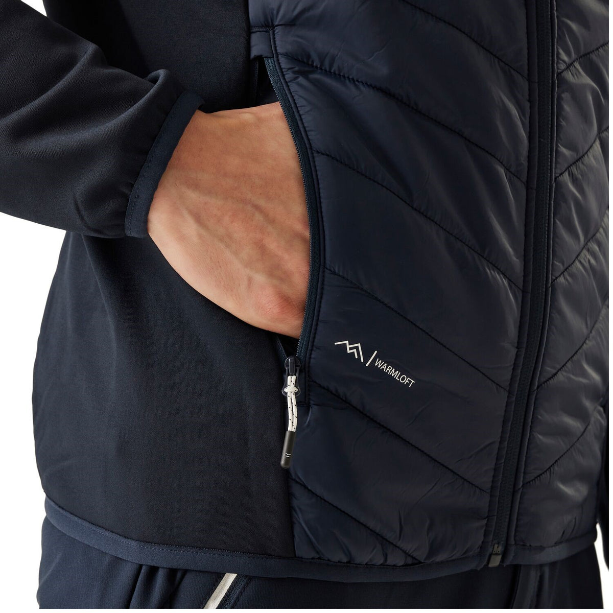 Regatta Andreson VIII Hybrid Softshelljacke Herren