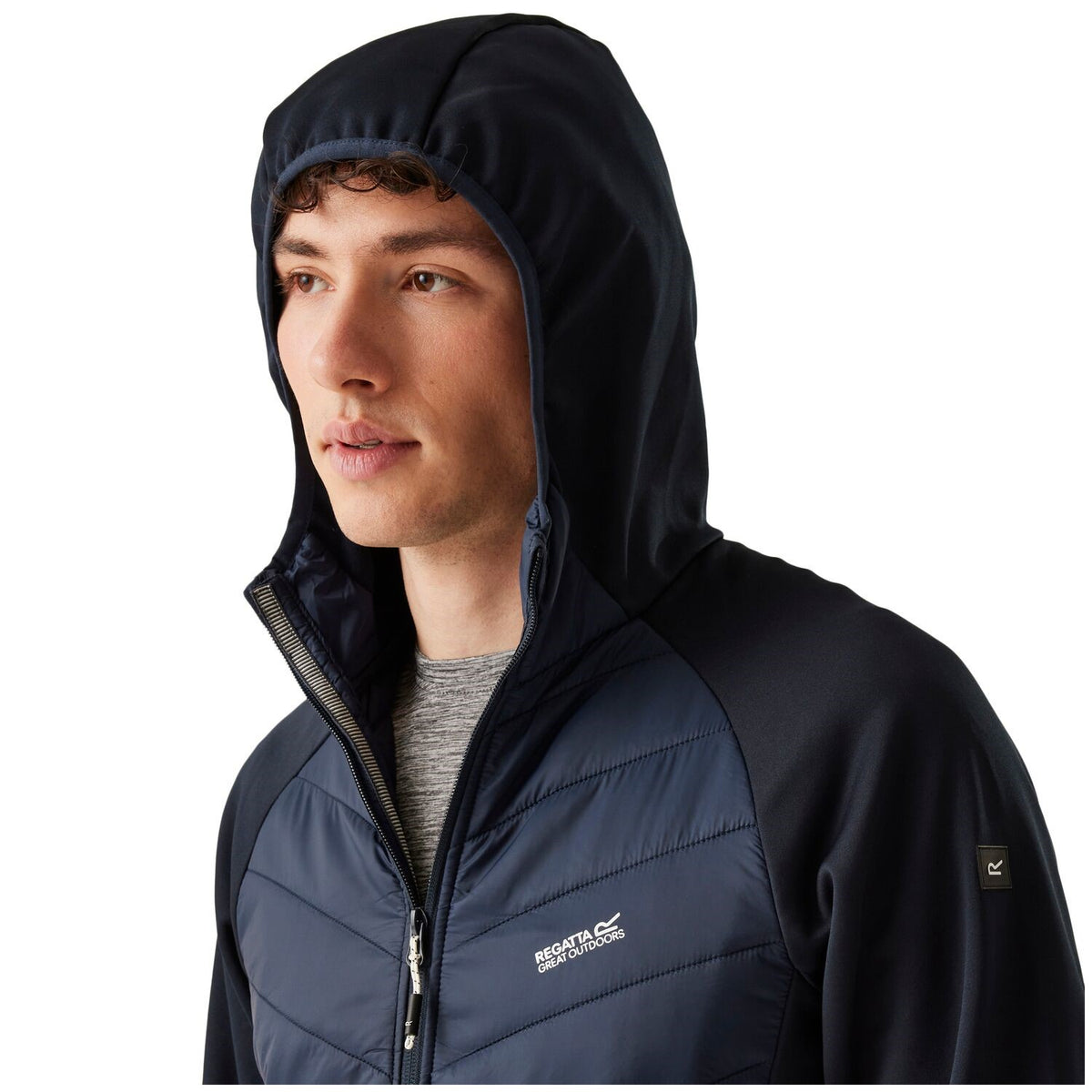 Regatta Andreson VIII Hybrid Softshelljacke Herren