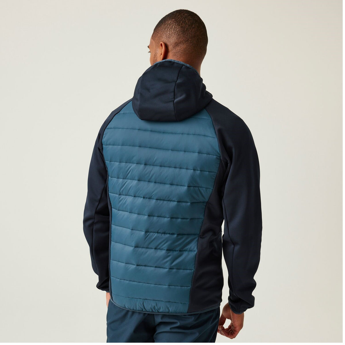 Regatta Andreson VIII Hybrid Softshelljacke Herren