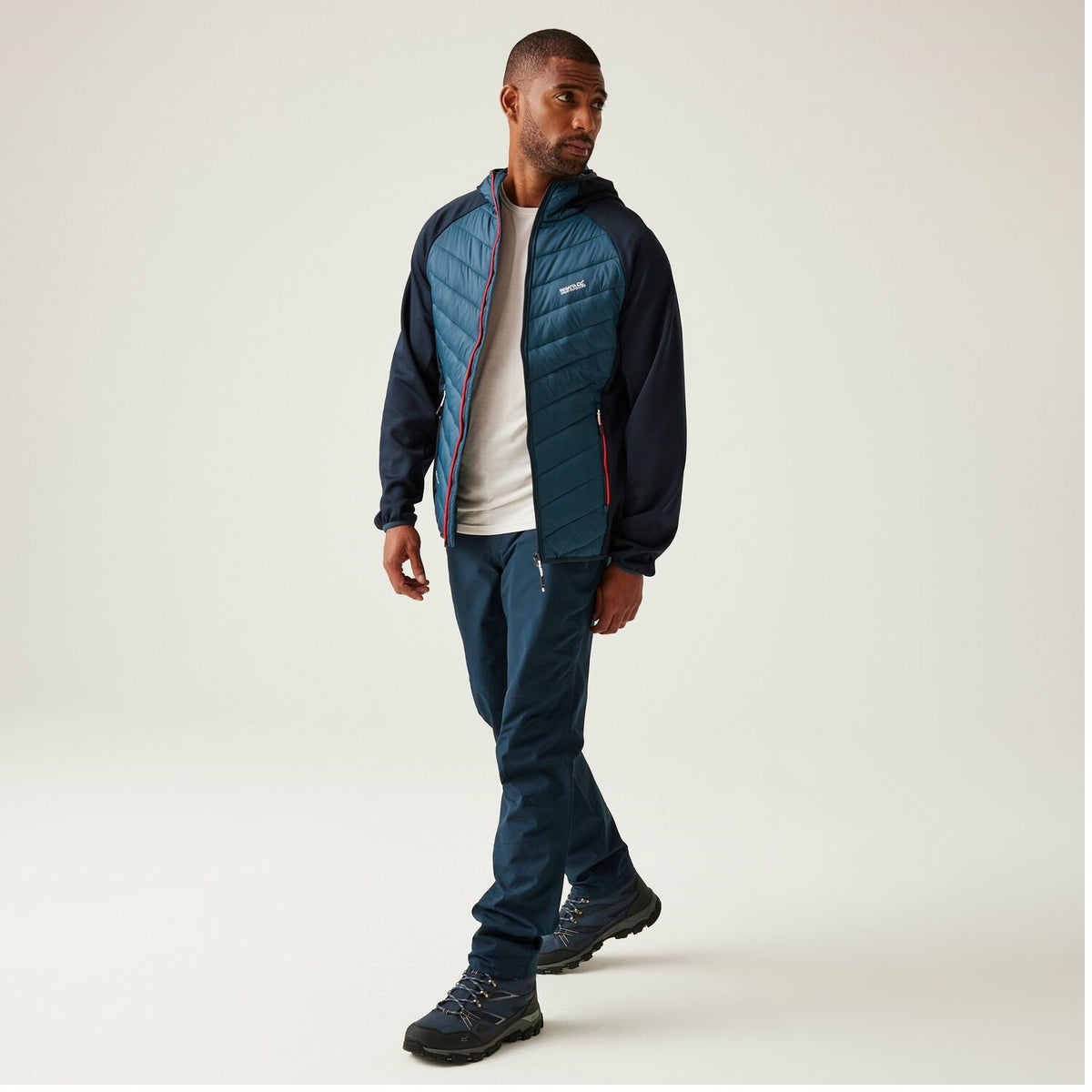 Regatta Andreson VIII Hybrid Softshelljacke Herren