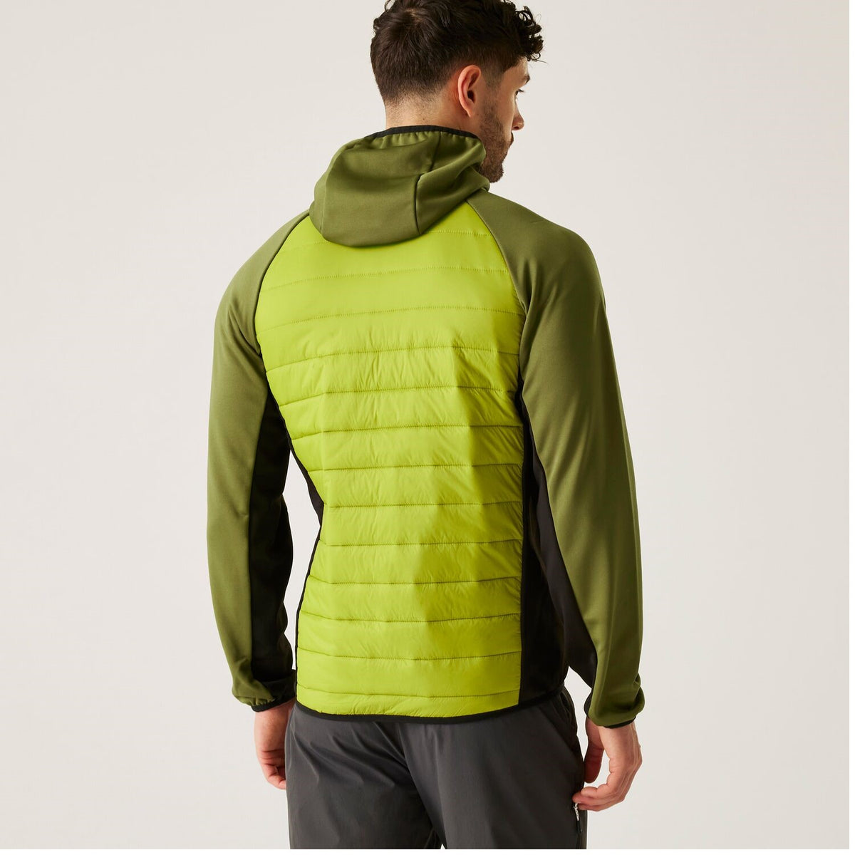 Regatta Andreson VIII Hybrid Softshelljacke Herren