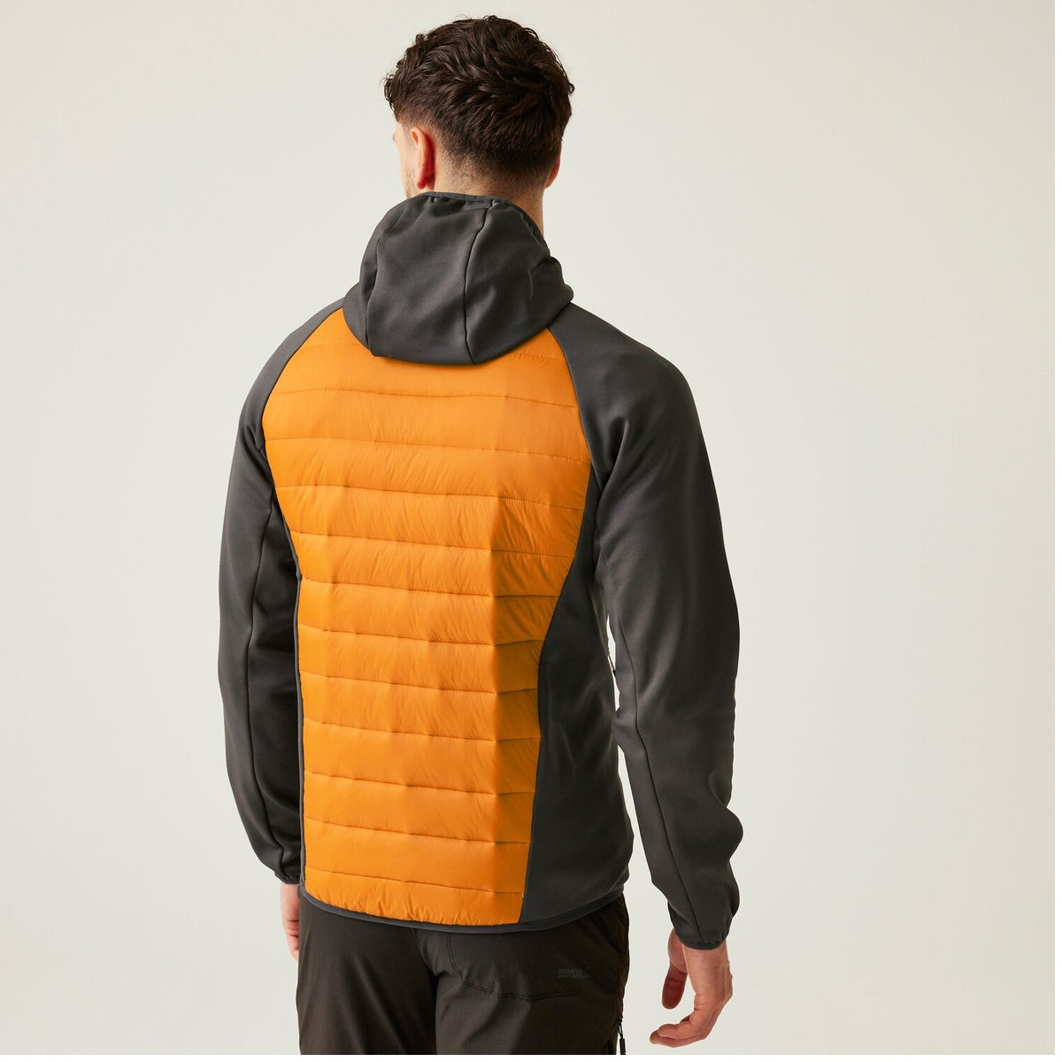 Regatta Andreson VIII Hybrid Softshelljacke Herren