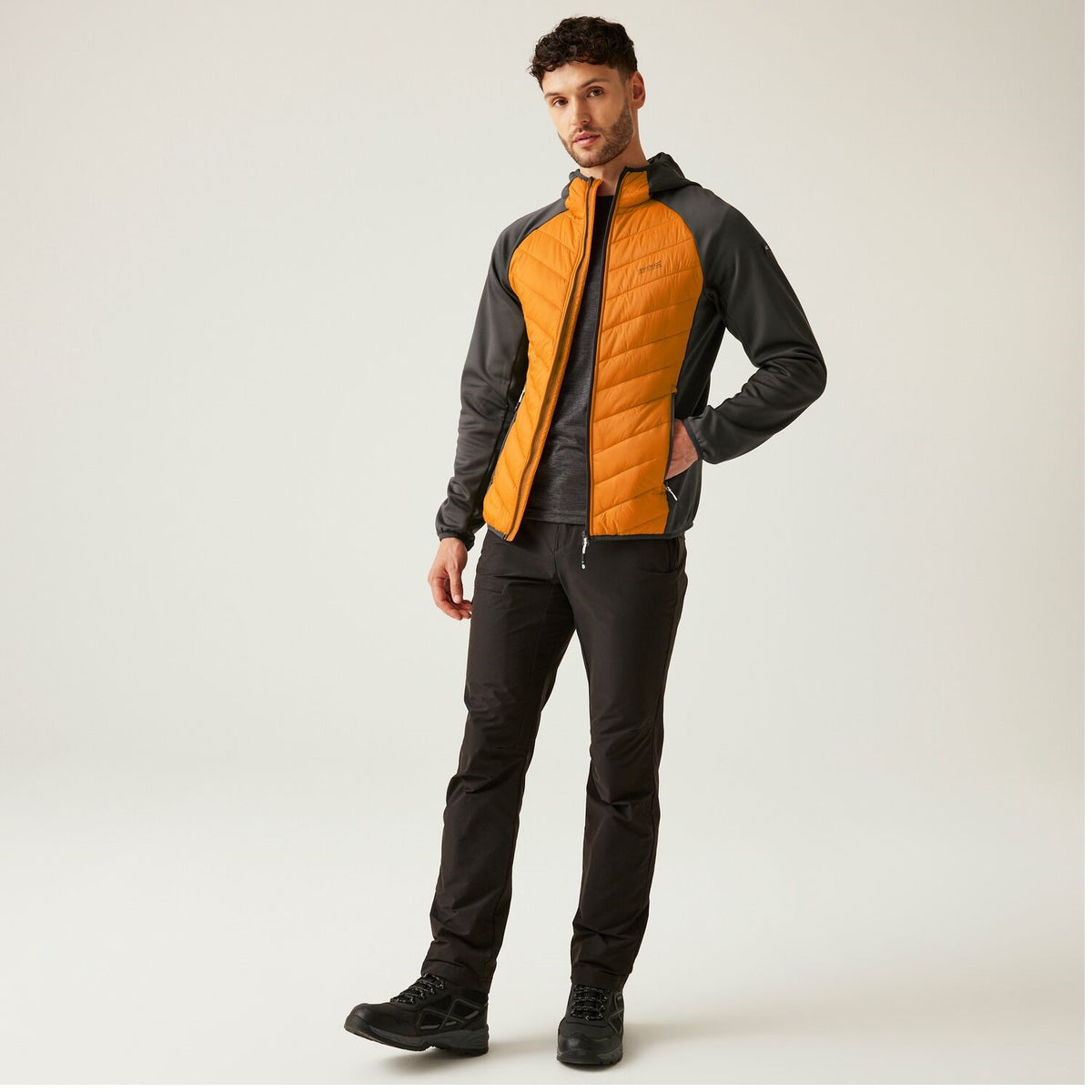 Regatta Andreson VIII Hybrid Softshelljacke Herren