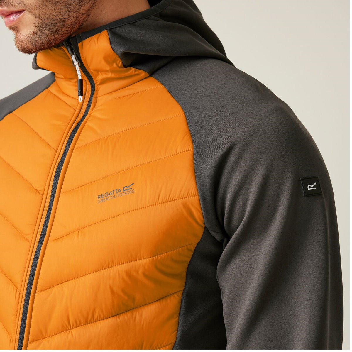Regatta Andreson VIII Hybrid Softshelljacke Herren