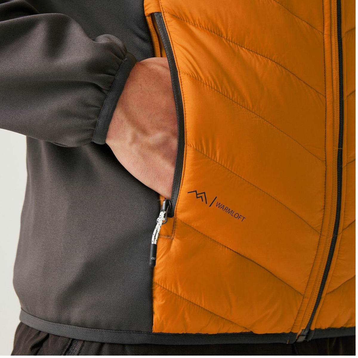 Regatta Andreson VIII Hybrid Softshelljacke Herren