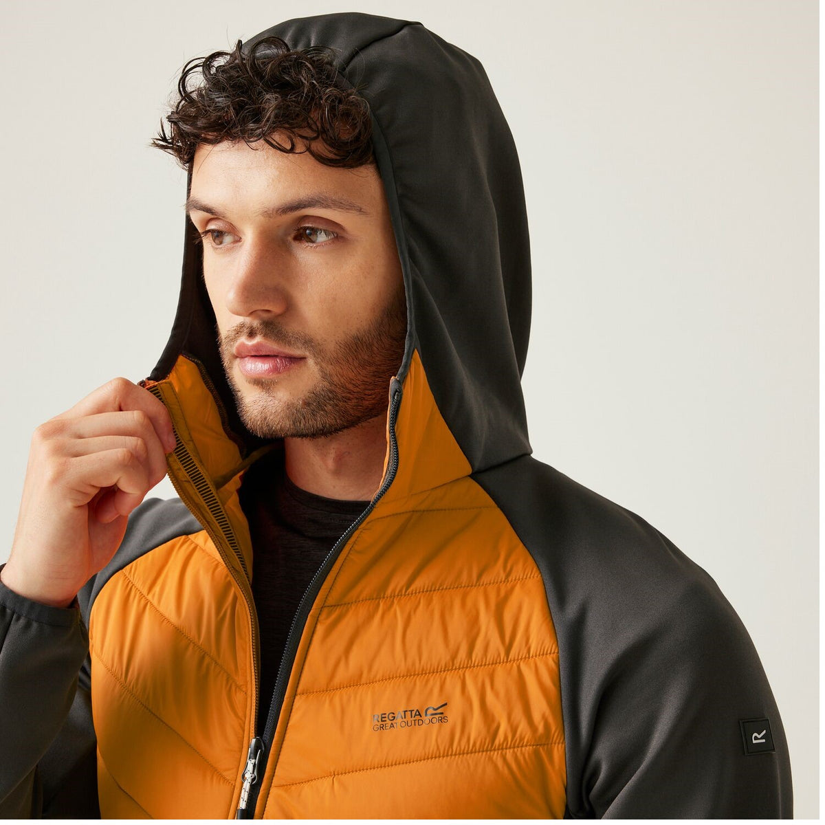 Regatta Andreson VIII Hybrid Softshelljacke Herren