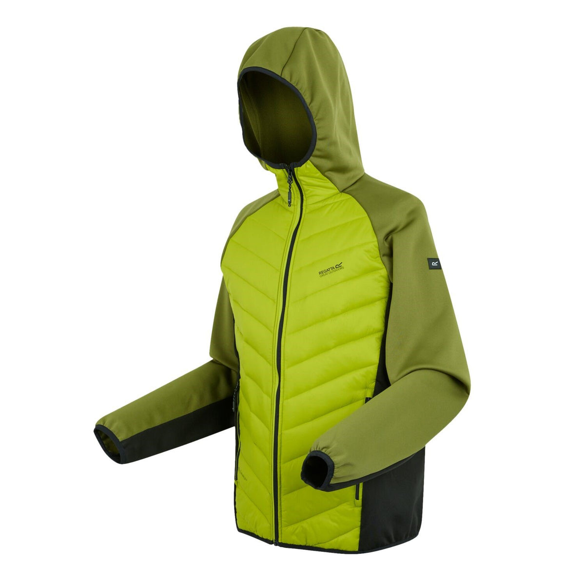 Regatta Andreson VIII Hybrid Softshelljacke Herren