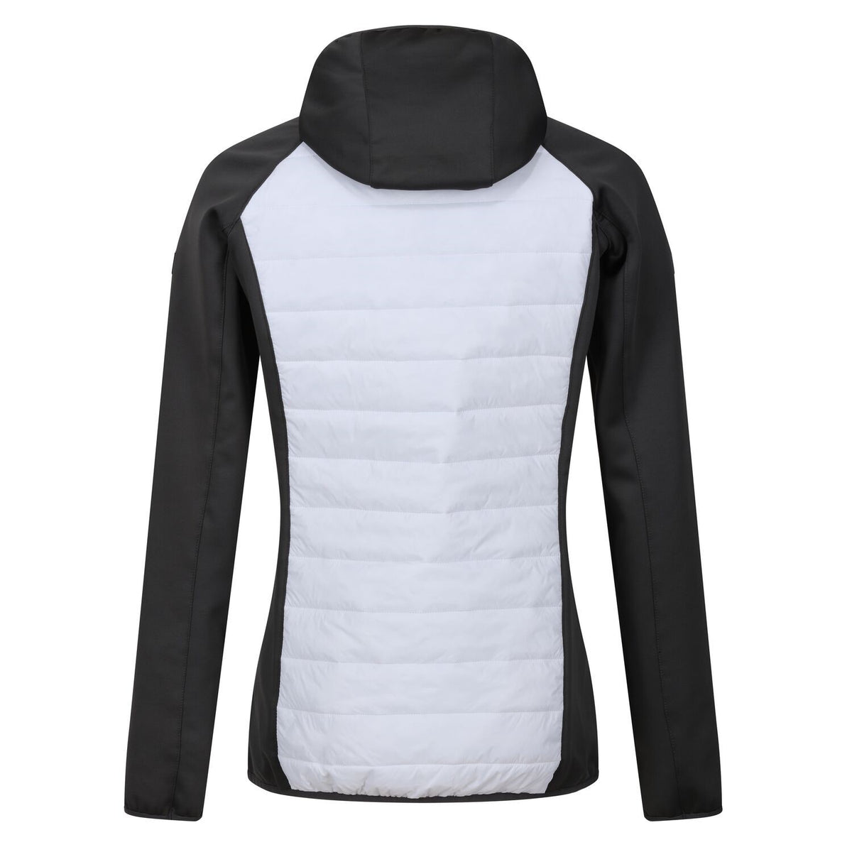 Regatta Andreson VIII Hybrid Softshelljacke Damen mit Kapuze