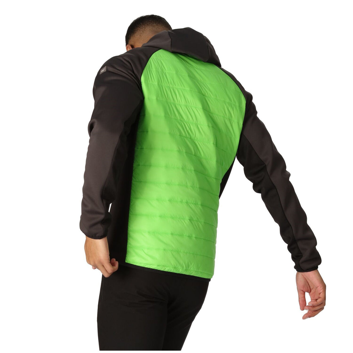 Regatta Andreson VIII Hybrid Softshelljacke Herren sehr leicht