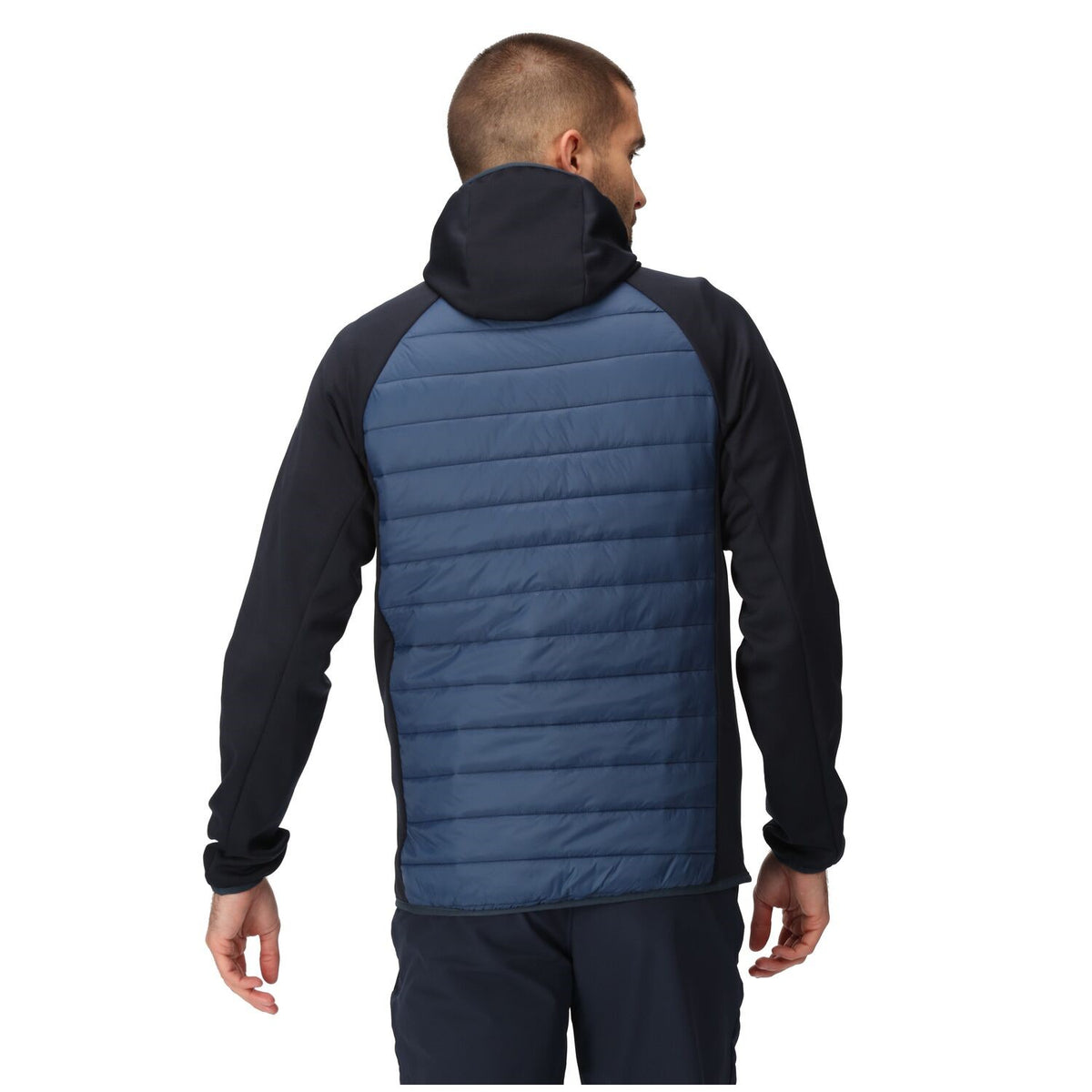 Regatta Andreson VIII Hybrid Softshelljacke Herren sehr leicht