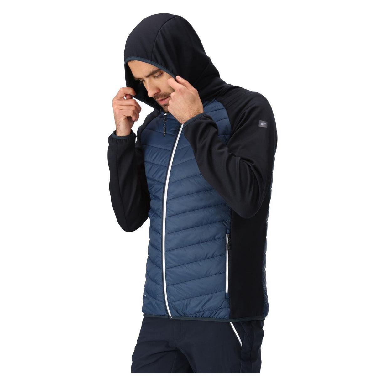 Regatta Andreson VIII Hybrid Softshelljacke Herren sehr leicht