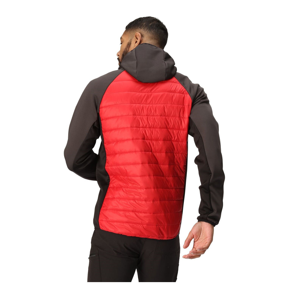 Regatta Andreson VIII Hybrid Softshelljacke Herren sehr leicht