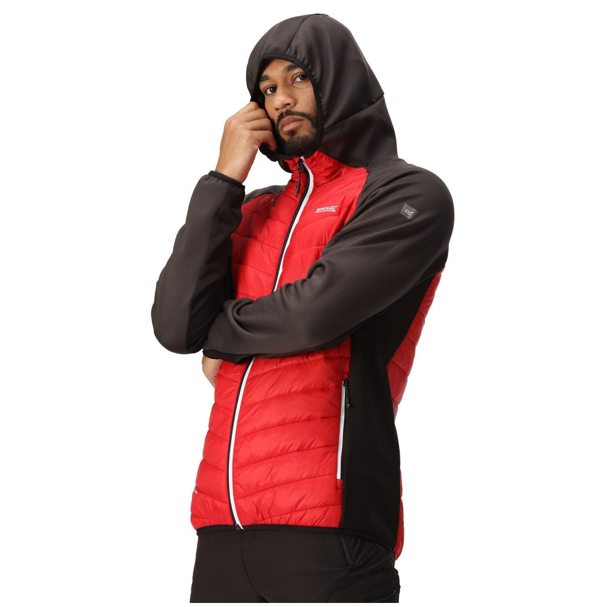 Regatta Andreson VIII Hybrid Softshelljacke Herren sehr leicht