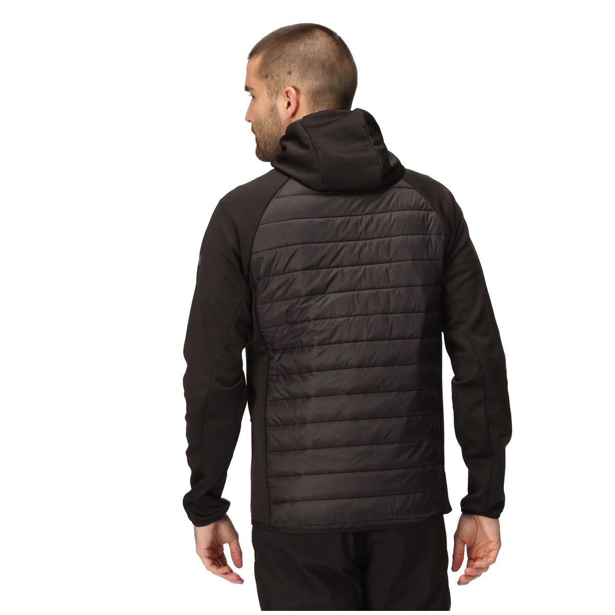 Regatta Andreson VIII Hybrid Softshelljacke Herren sehr leicht