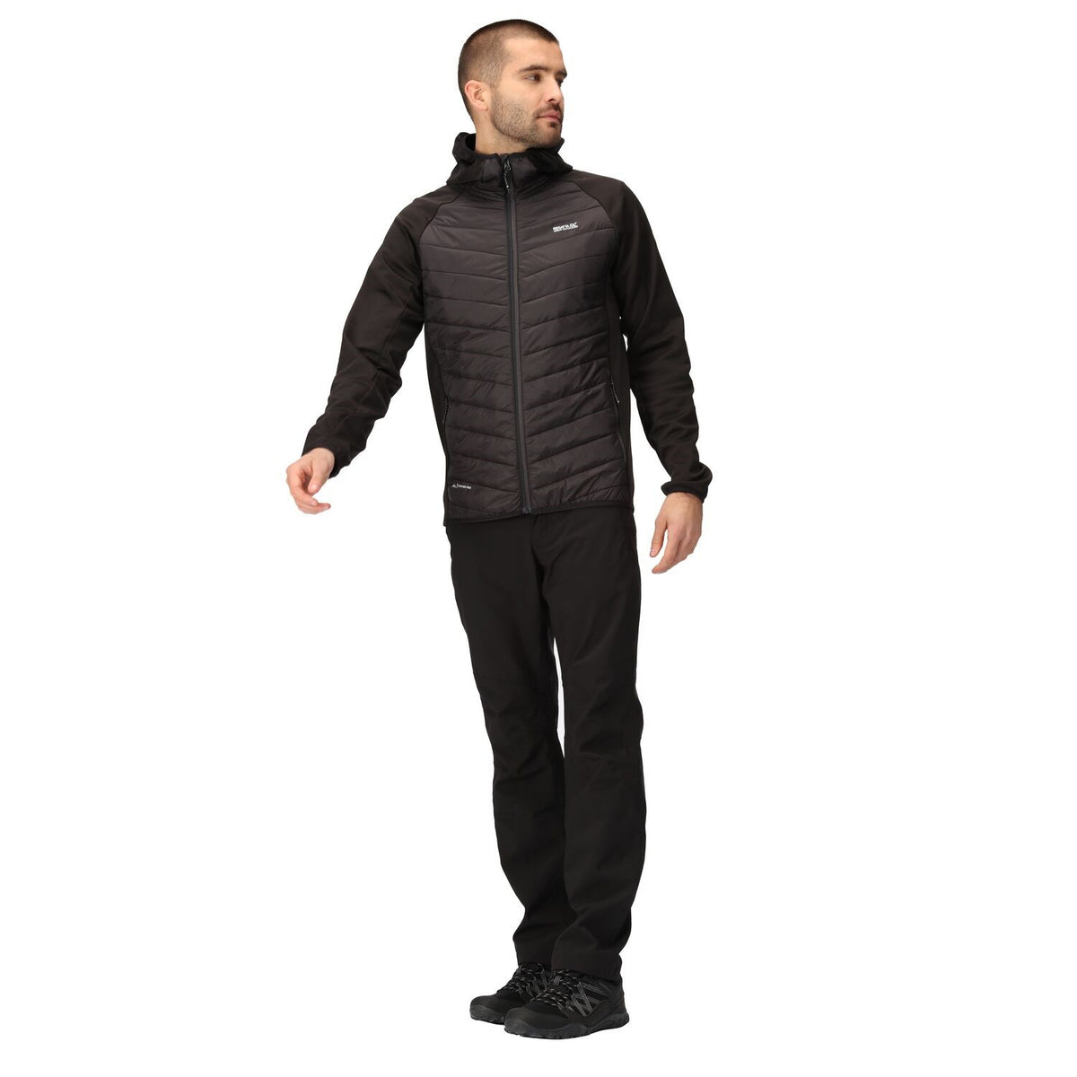Regatta Andreson VIII Hybrid Softshelljacke Herren sehr leicht