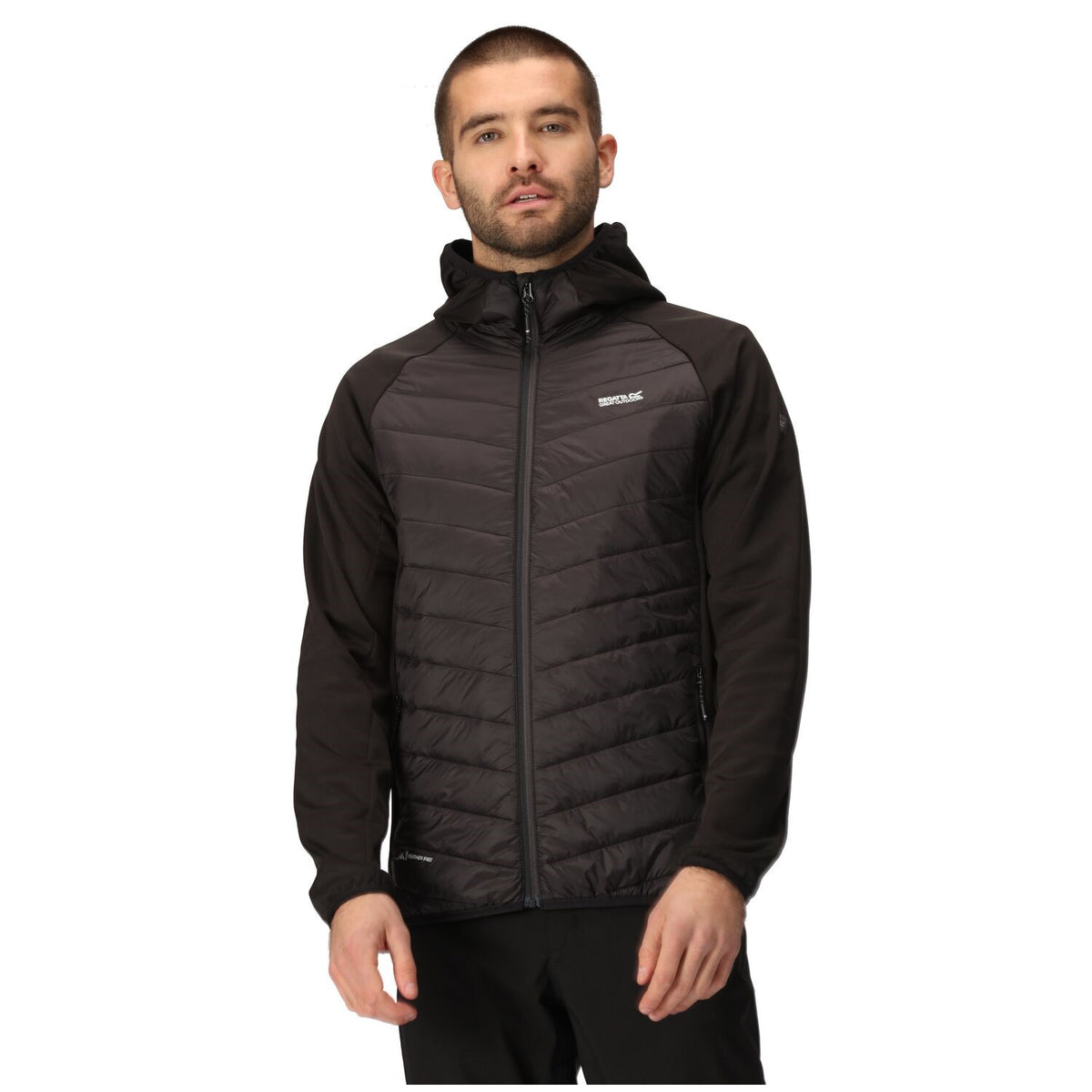 Regatta Andreson VIII Hybrid Softshelljacke Herren