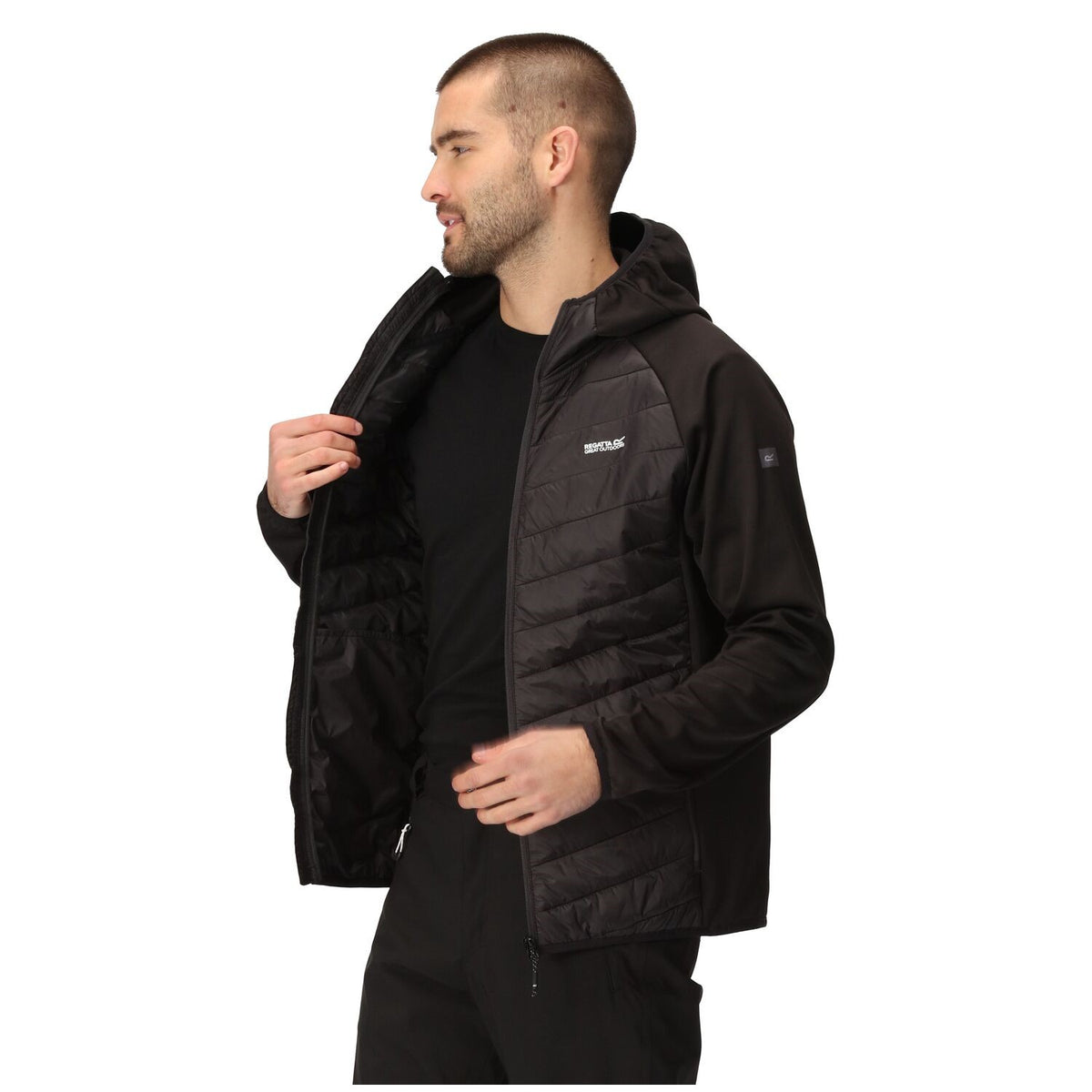 Regatta Andreson VIII Hybrid Softshelljacke Herren