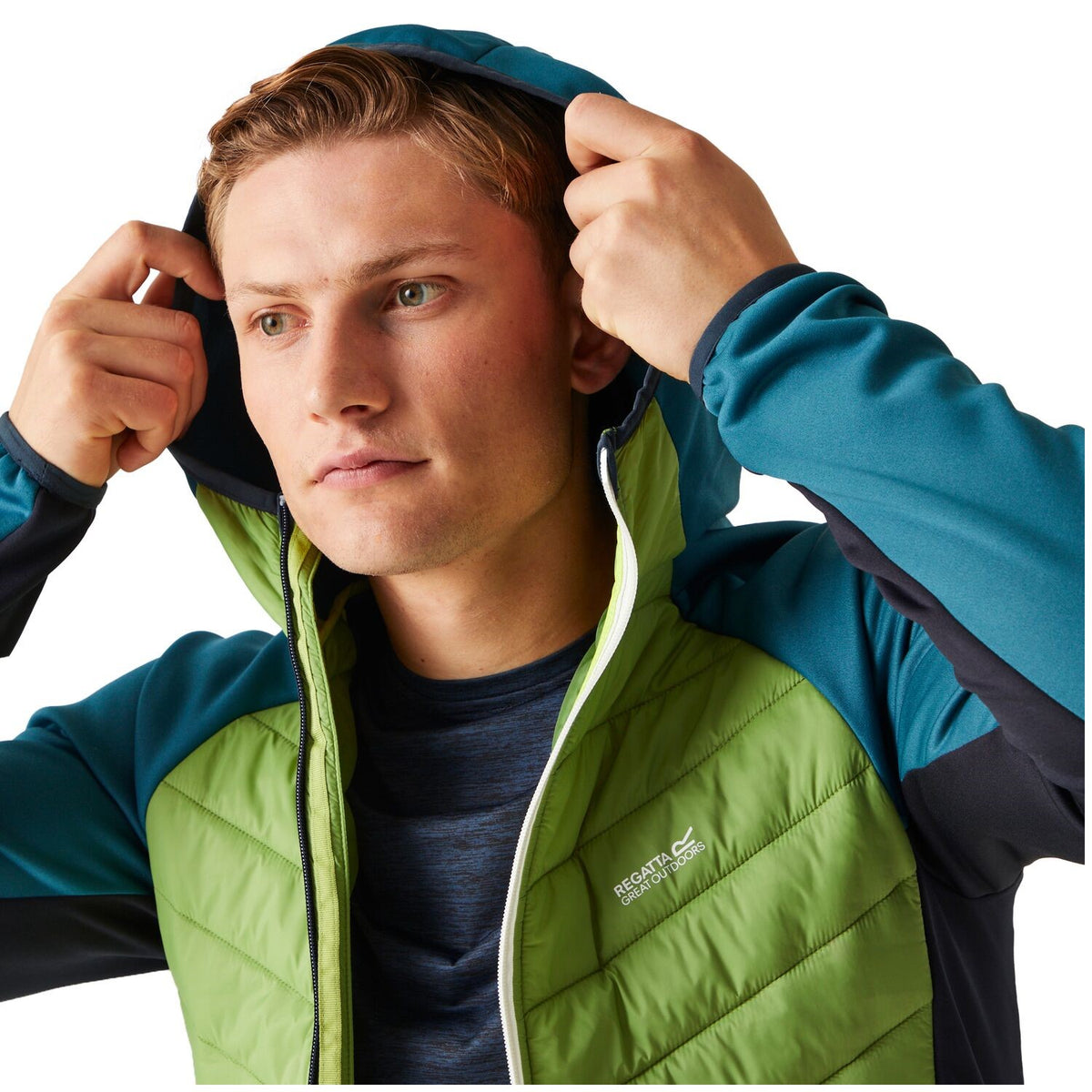 Regatta Andreson VIII Hybrid Softshelljacke Herren sehr leicht