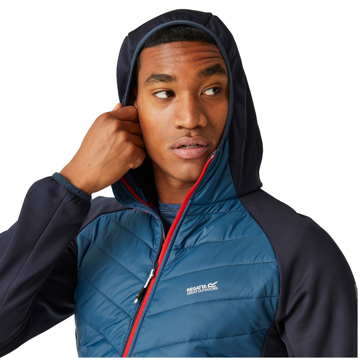 Regatta Andreson VIII Hybrid Softshelljacke Herren sehr leicht