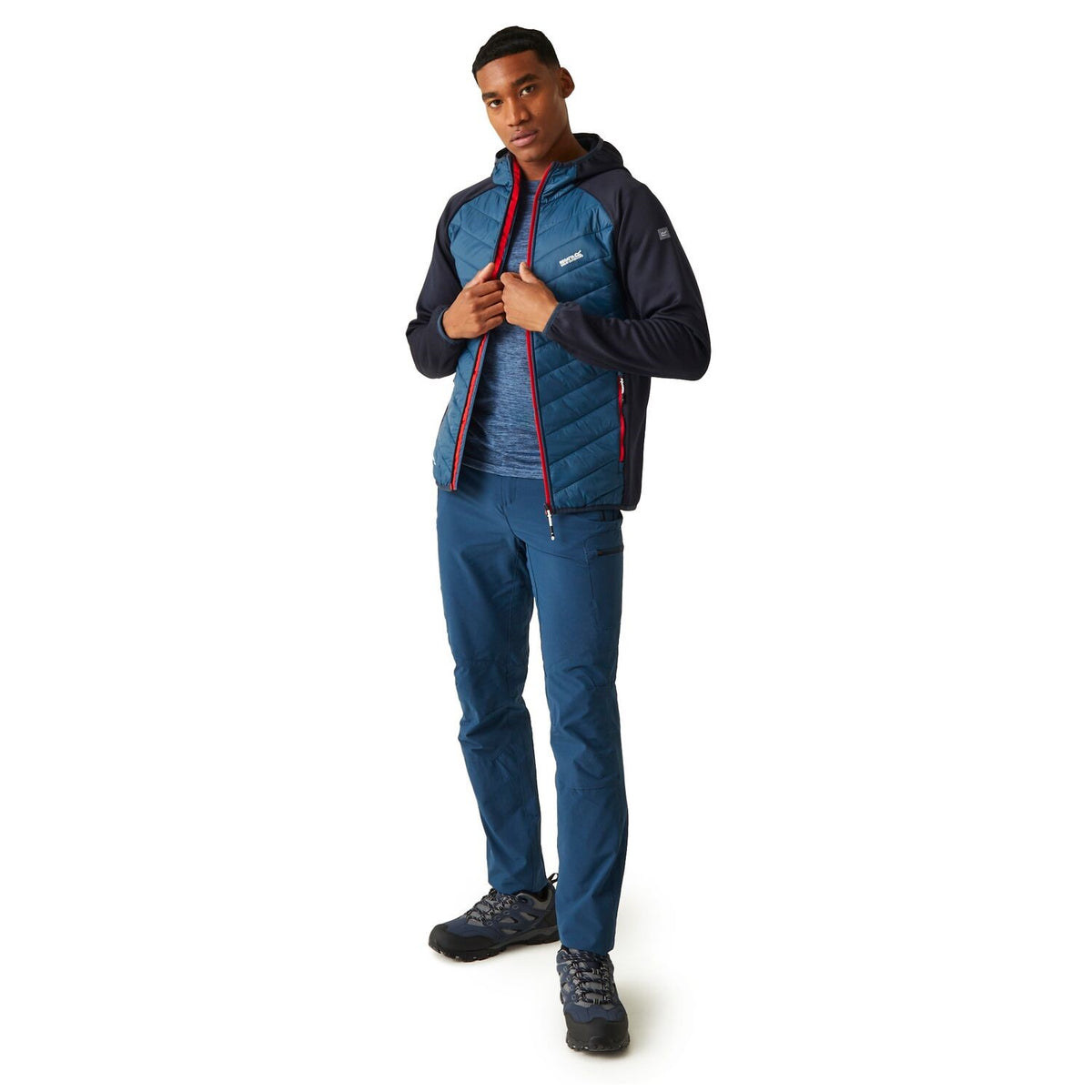 Regatta Andreson VIII Hybrid Softshelljacke Herren sehr leicht
