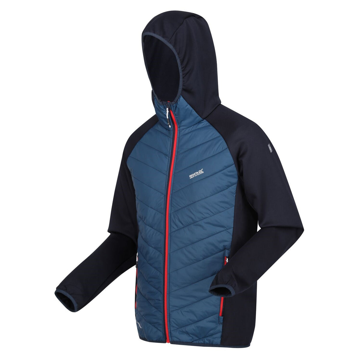 Regatta Andreson VIII Hybrid Softshelljacke Herren sehr leicht