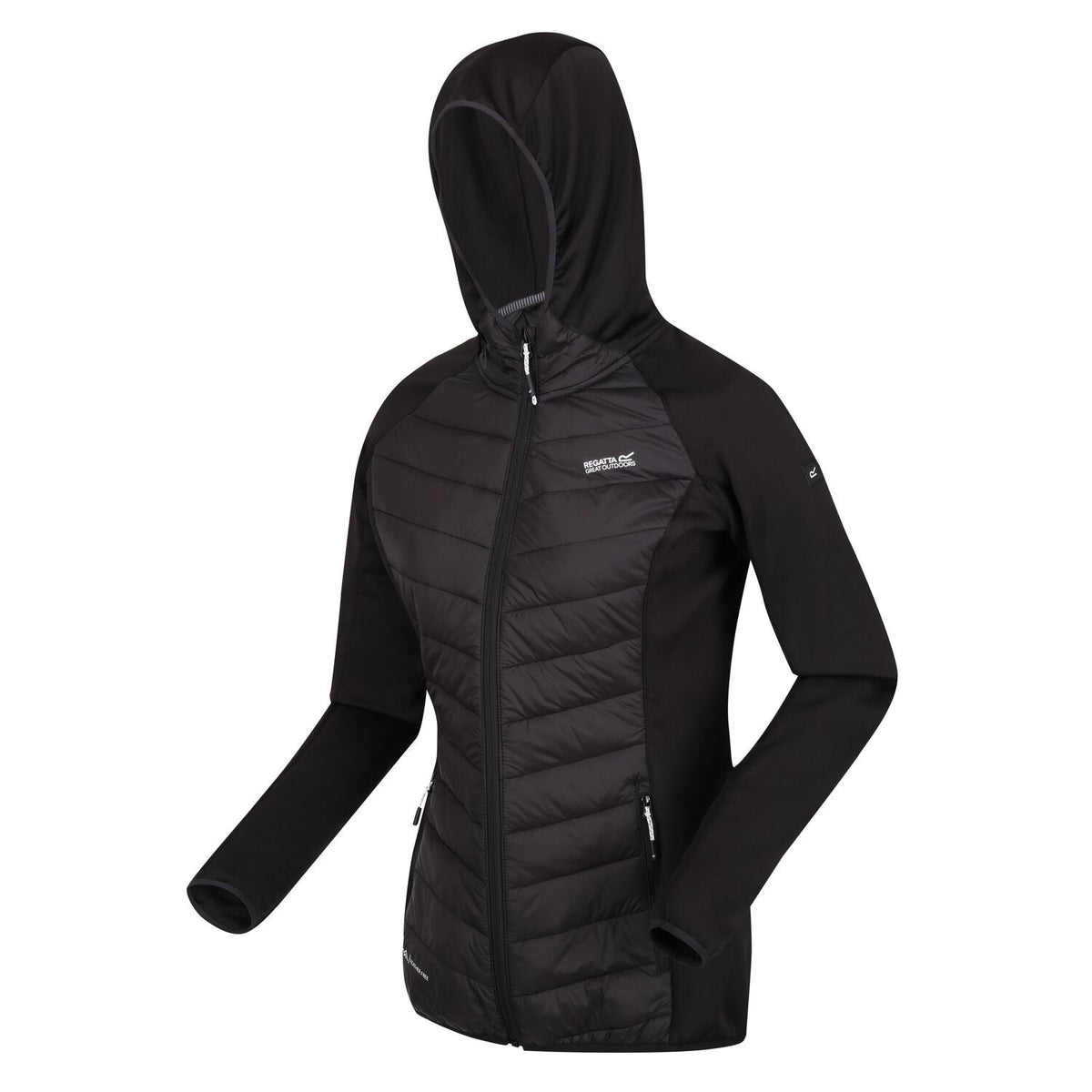 Regatta Andreson VIII Hybrid Softshelljacke Damen mit Kapuze