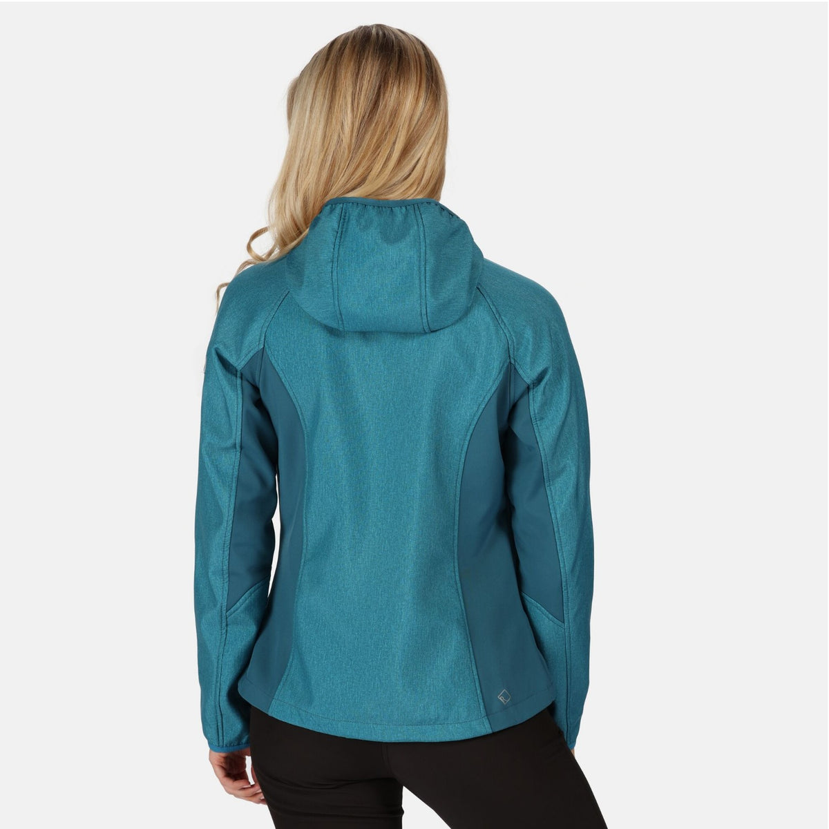 Regatta Softshelljacke Damen Arec II 2020