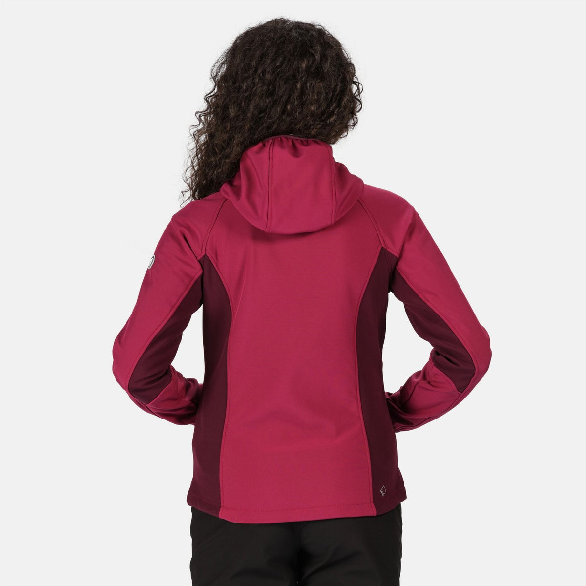 Regatta Softshelljacke Damen Arec II 2020
