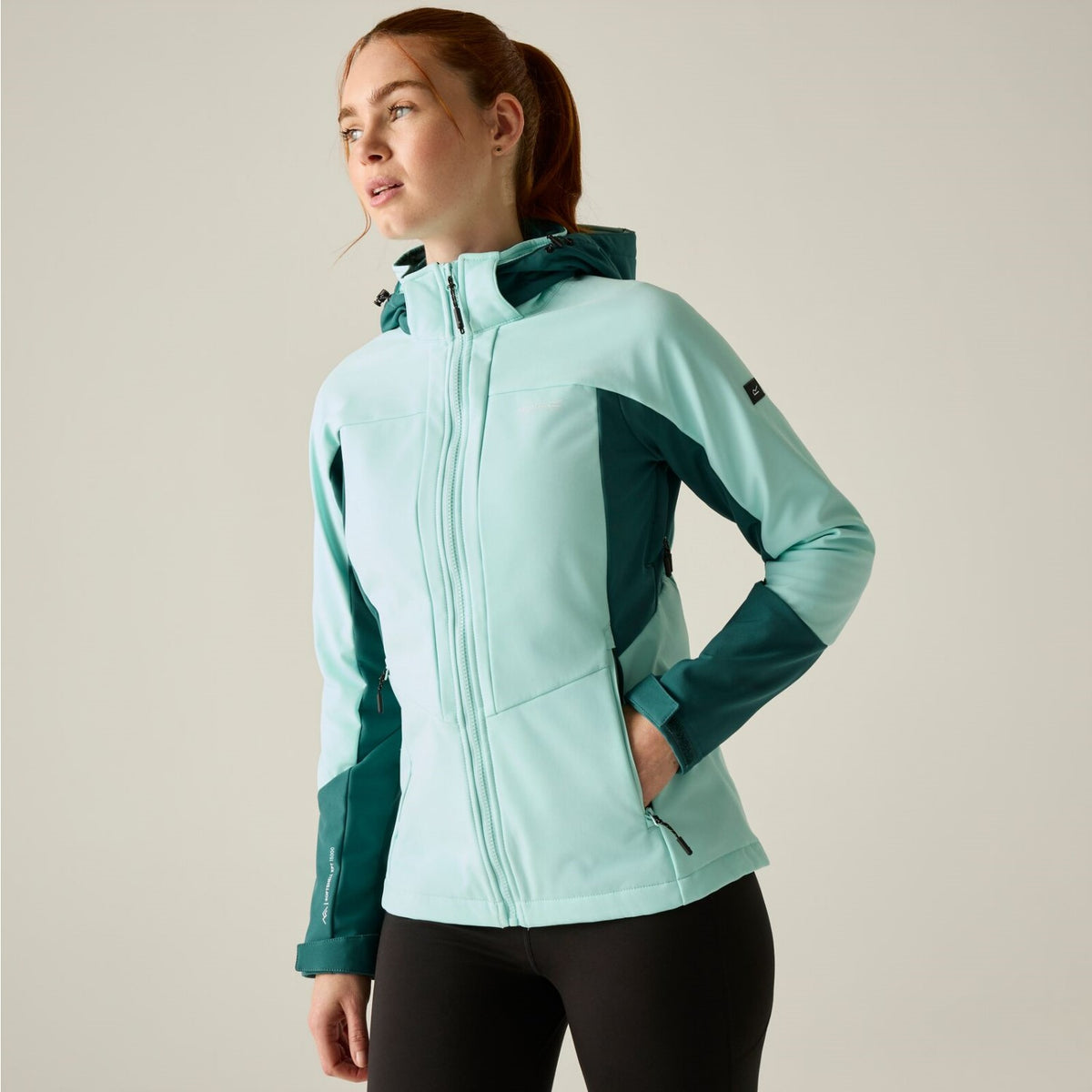 Regatta Softshelljacke Desoto Damen