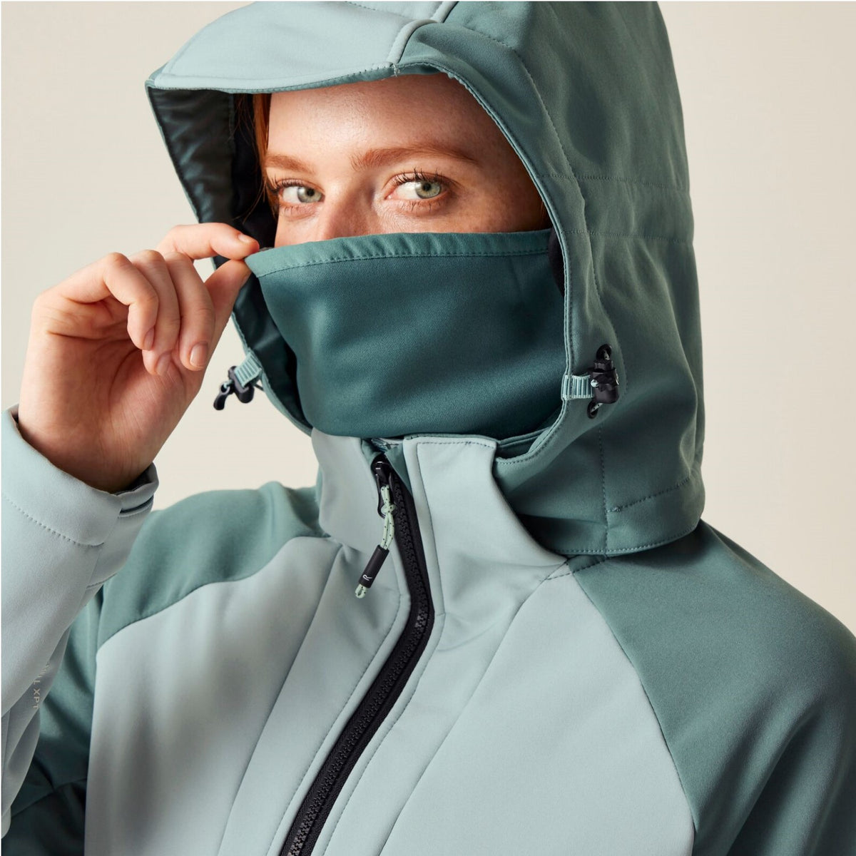 Regatta Softshelljacke Desoto für Damen mit Kapuze