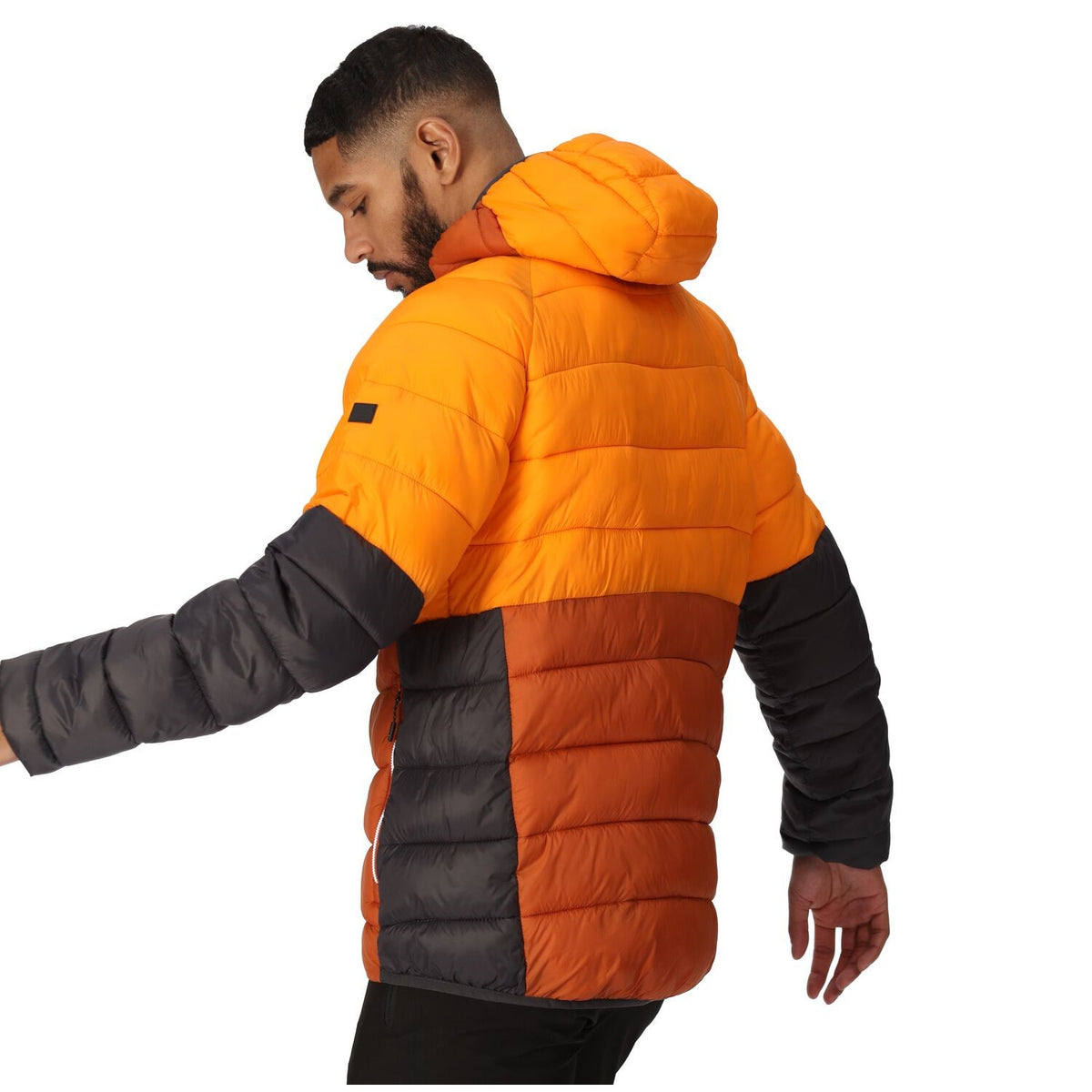 Regatta Harrock II Steppjacke / Winterjacke Herren mit Kapuze