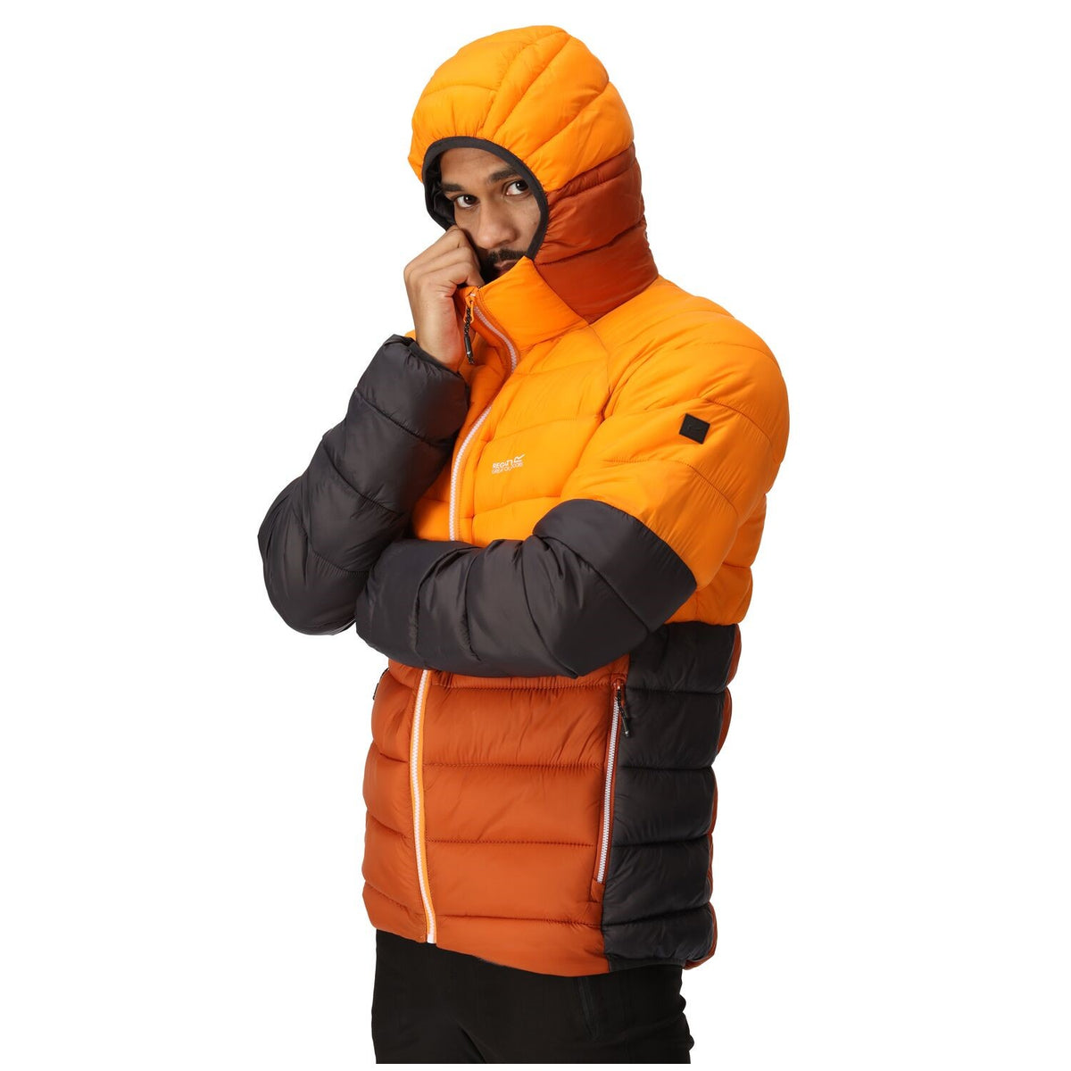 Regatta Harrock II Steppjacke / Winterjacke Herren mit Kapuze