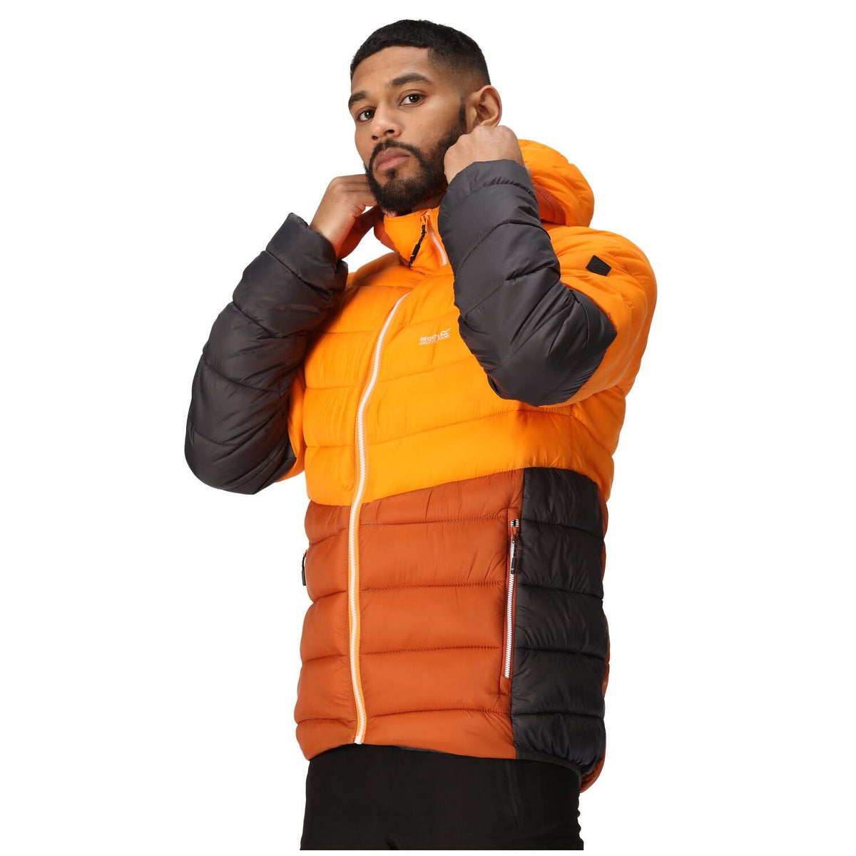 Regatta Harrock II Steppjacke / Winterjacke Herren mit Kapuze