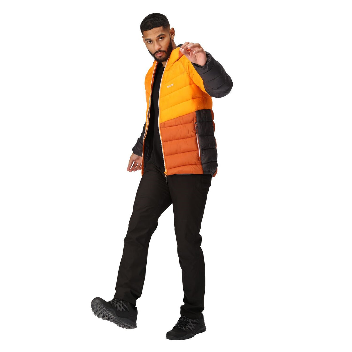 Regatta Harrock II Steppjacke / Winterjacke Herren mit Kapuze