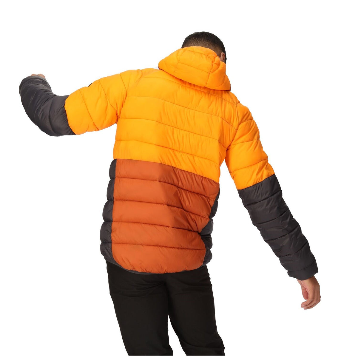 Regatta Harrock II Steppjacke / Winterjacke Herren mit Kapuze