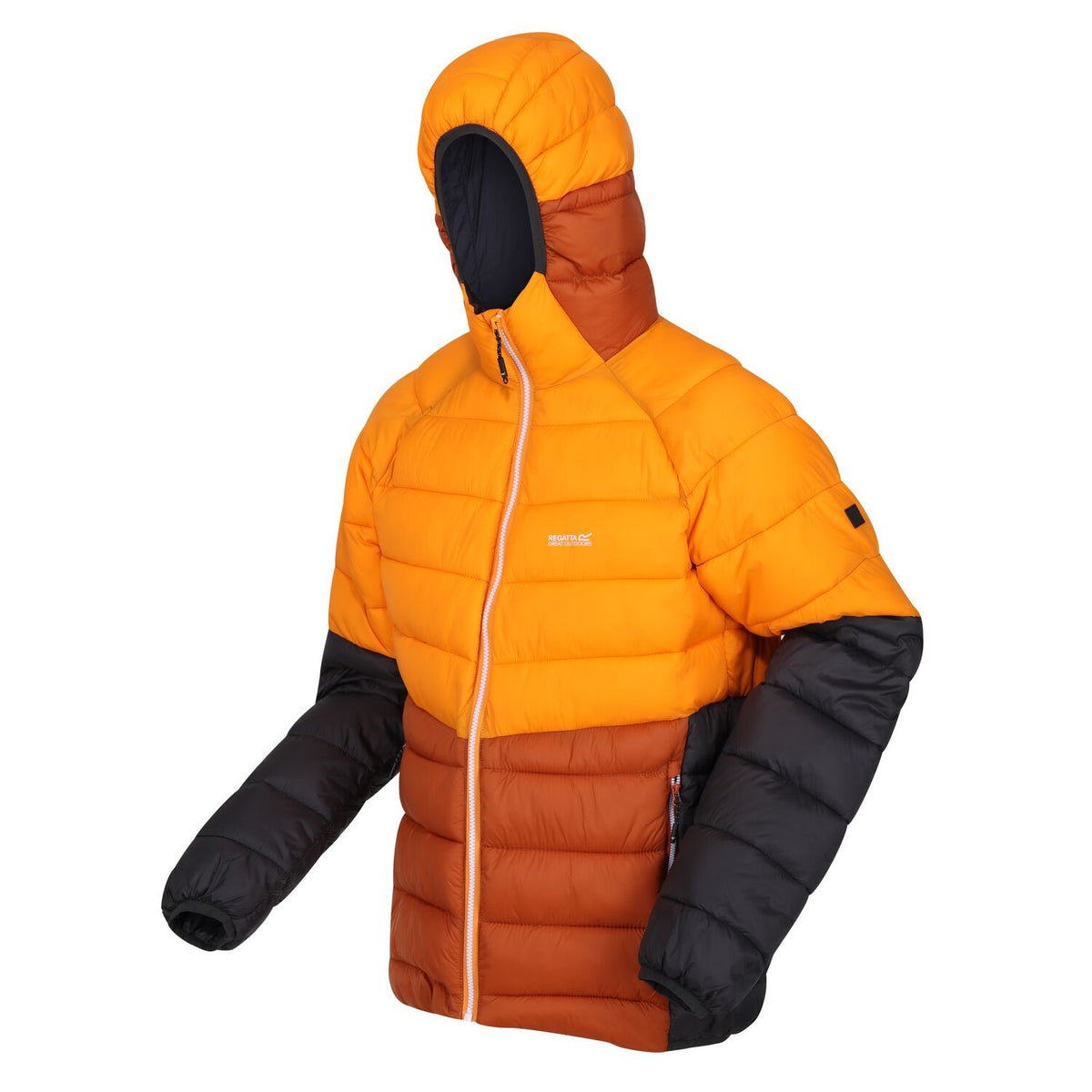 Regatta Harrock II Steppjacke / Winterjacke Herren mit Kapuze