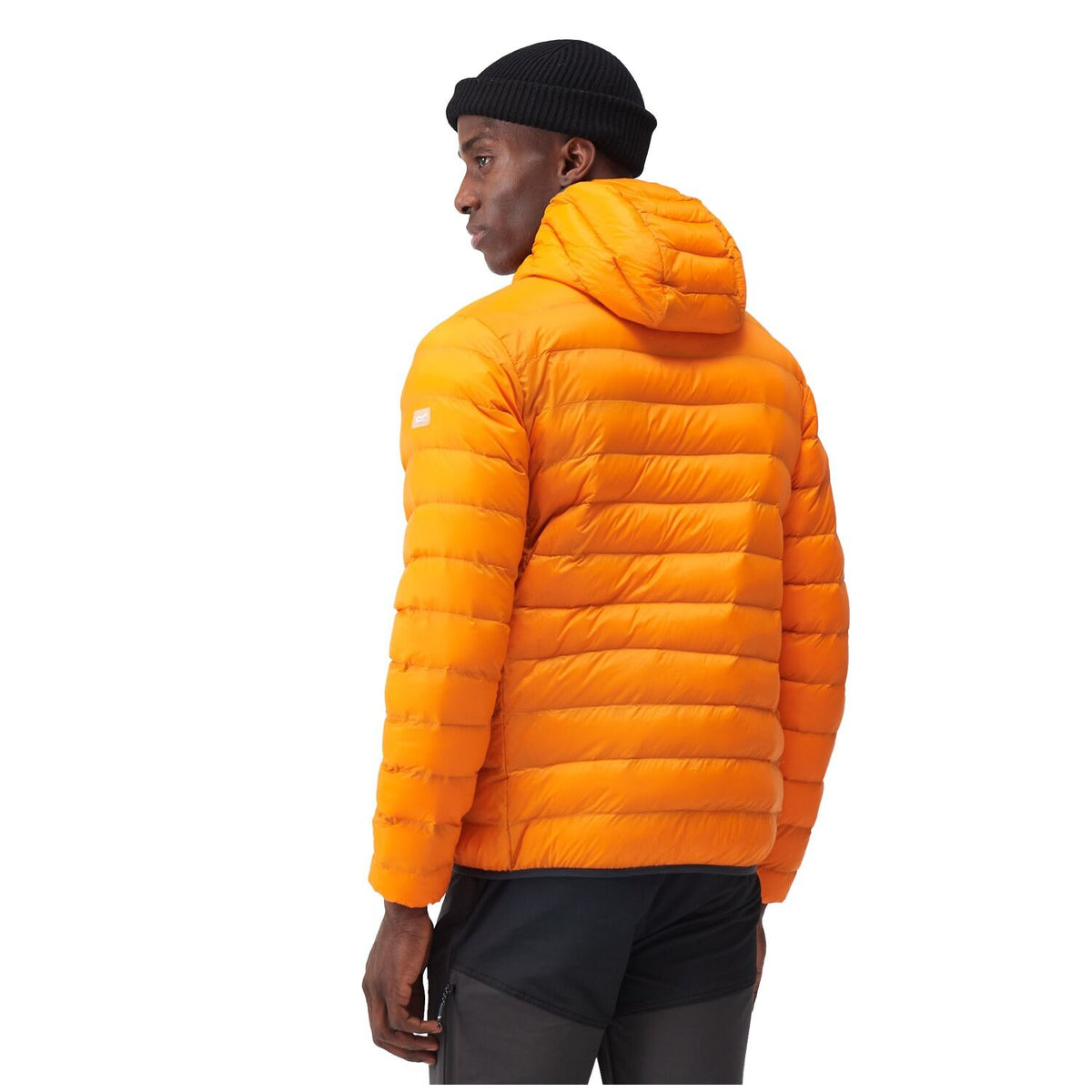Regatta Marizion Baffle Jacke für Herren mit Kapuze