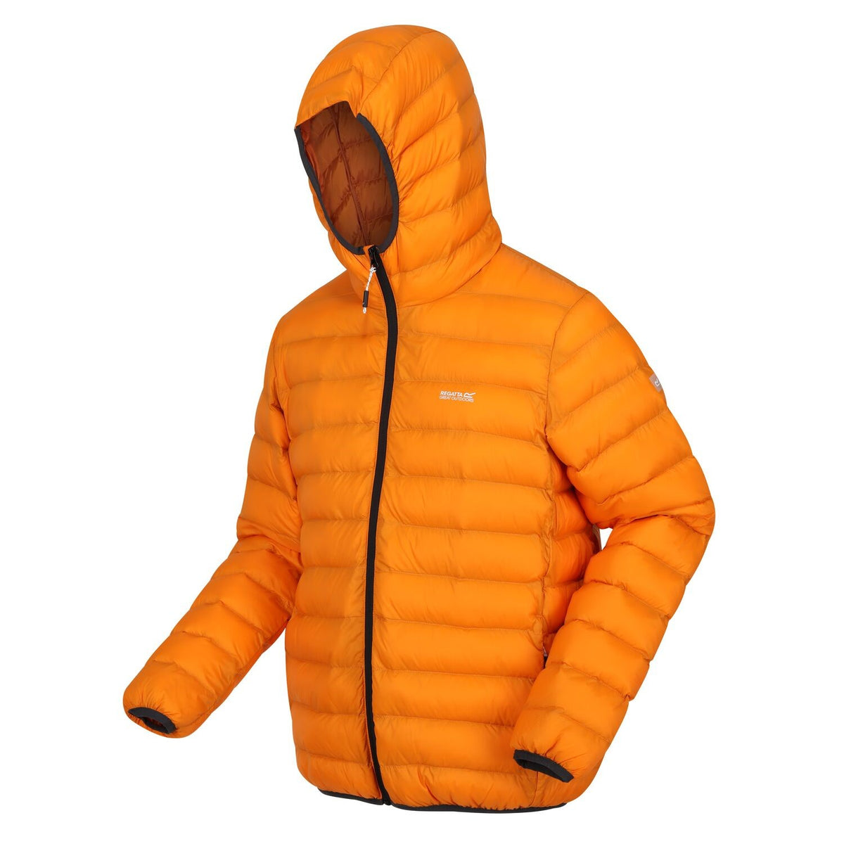 Regatta Marizion Baffle Jacke für Herren mit Kapuze