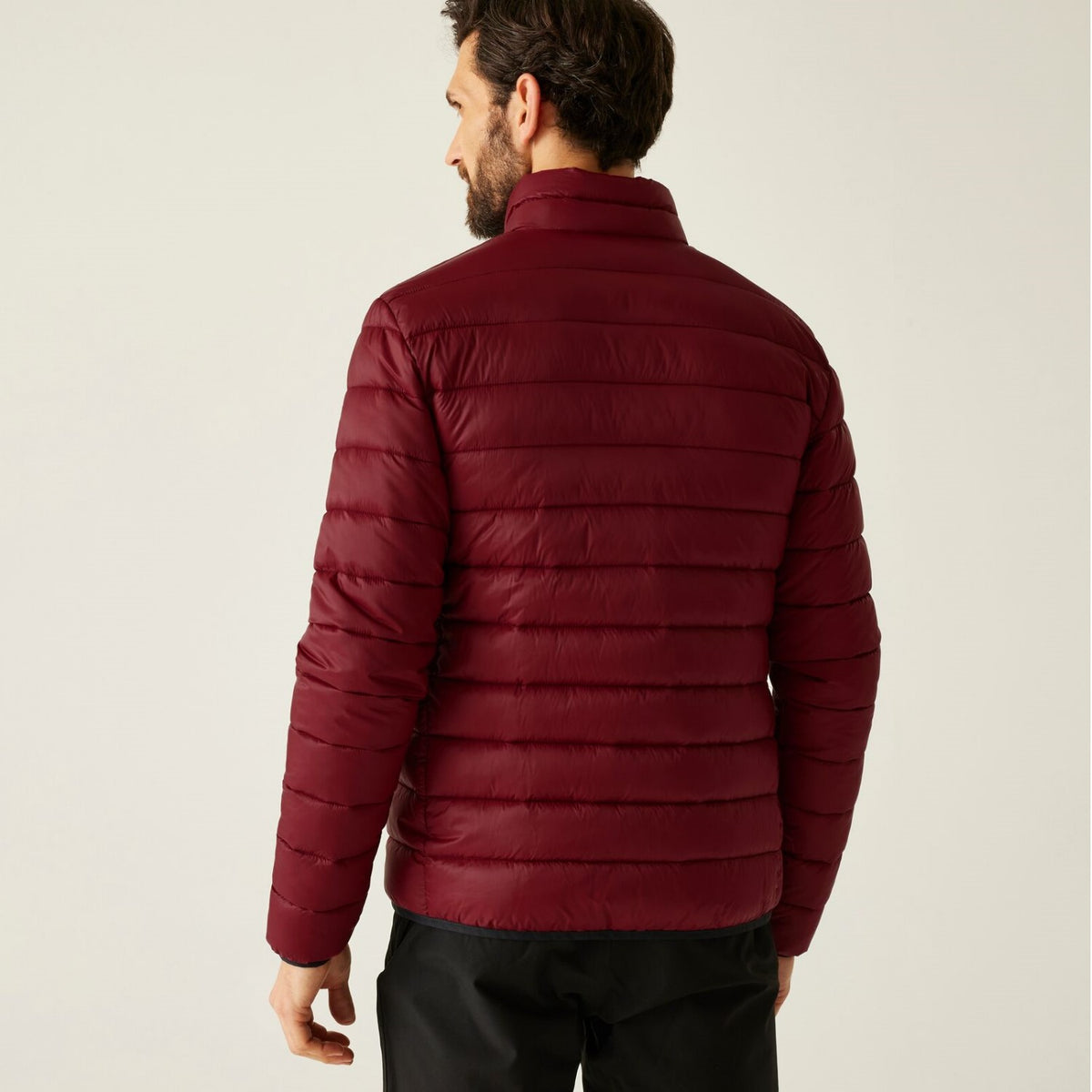 Regatta Marizion Baffle Jacke für Herren