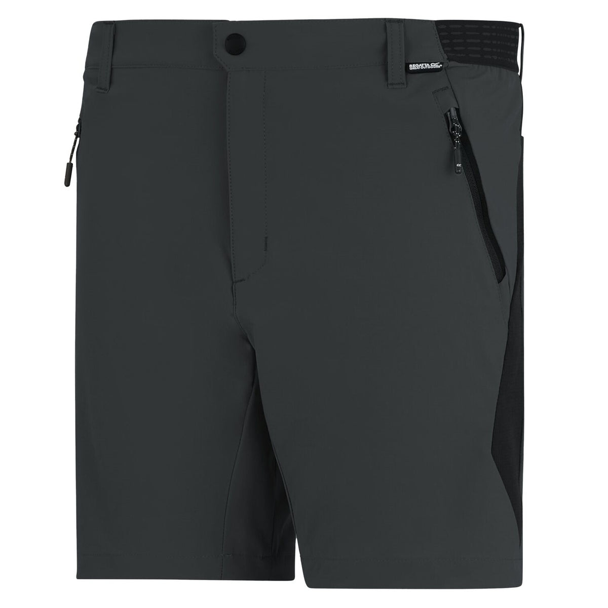 Regatta Mountain Shorts für Herren