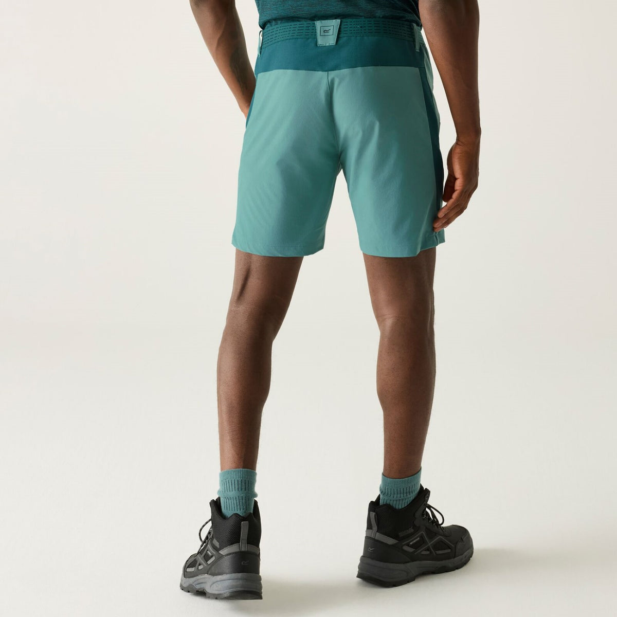 Regatta Mountain Shorts für Herren