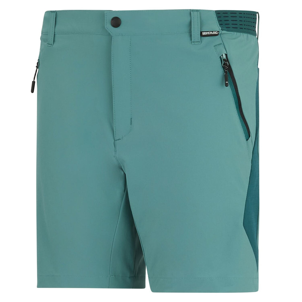 Regatta Mountain Shorts für Herren